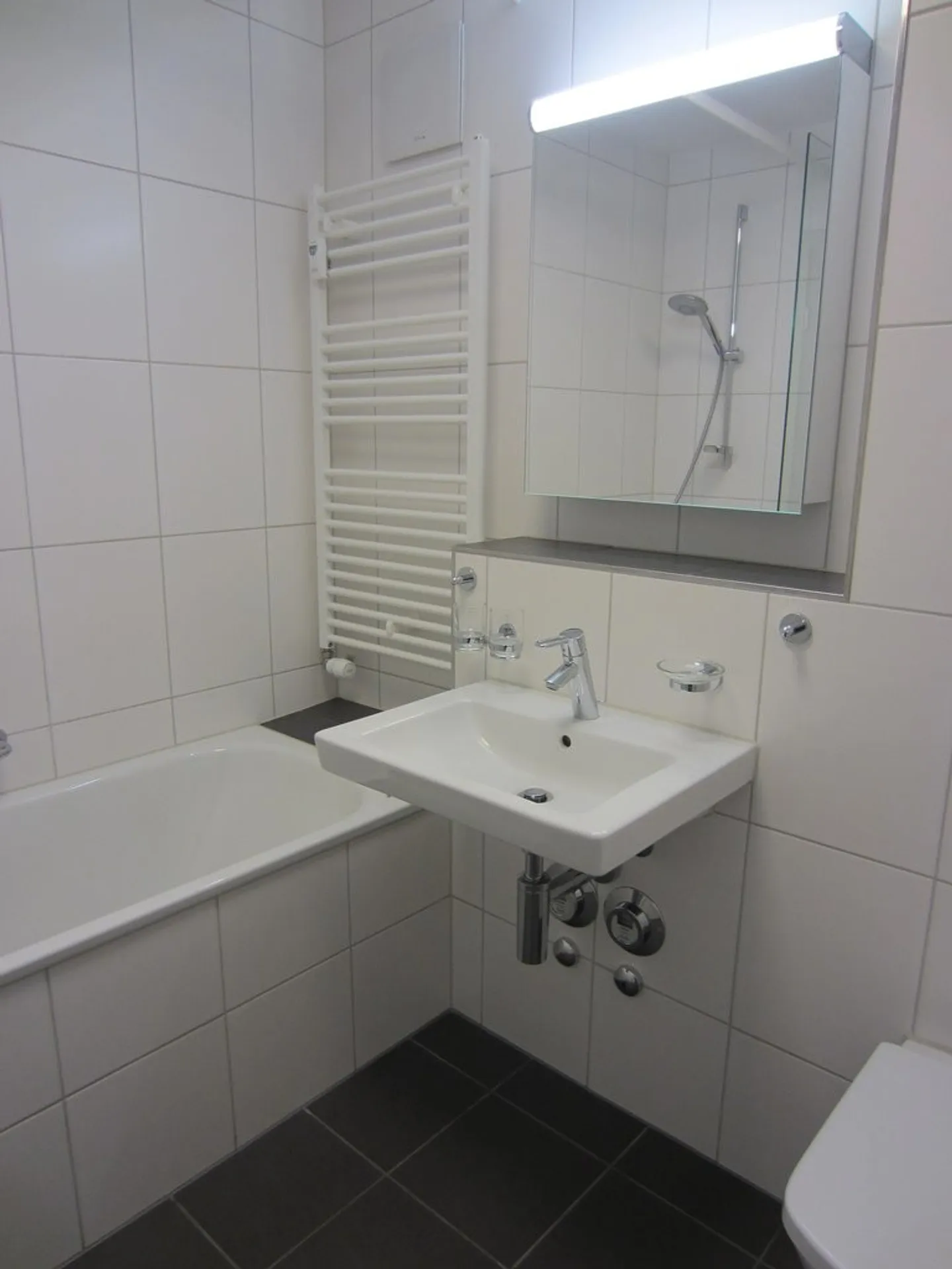 Il tuo nuovo appartamento - a pochi passi dal Reno! - Foto 8 di 8