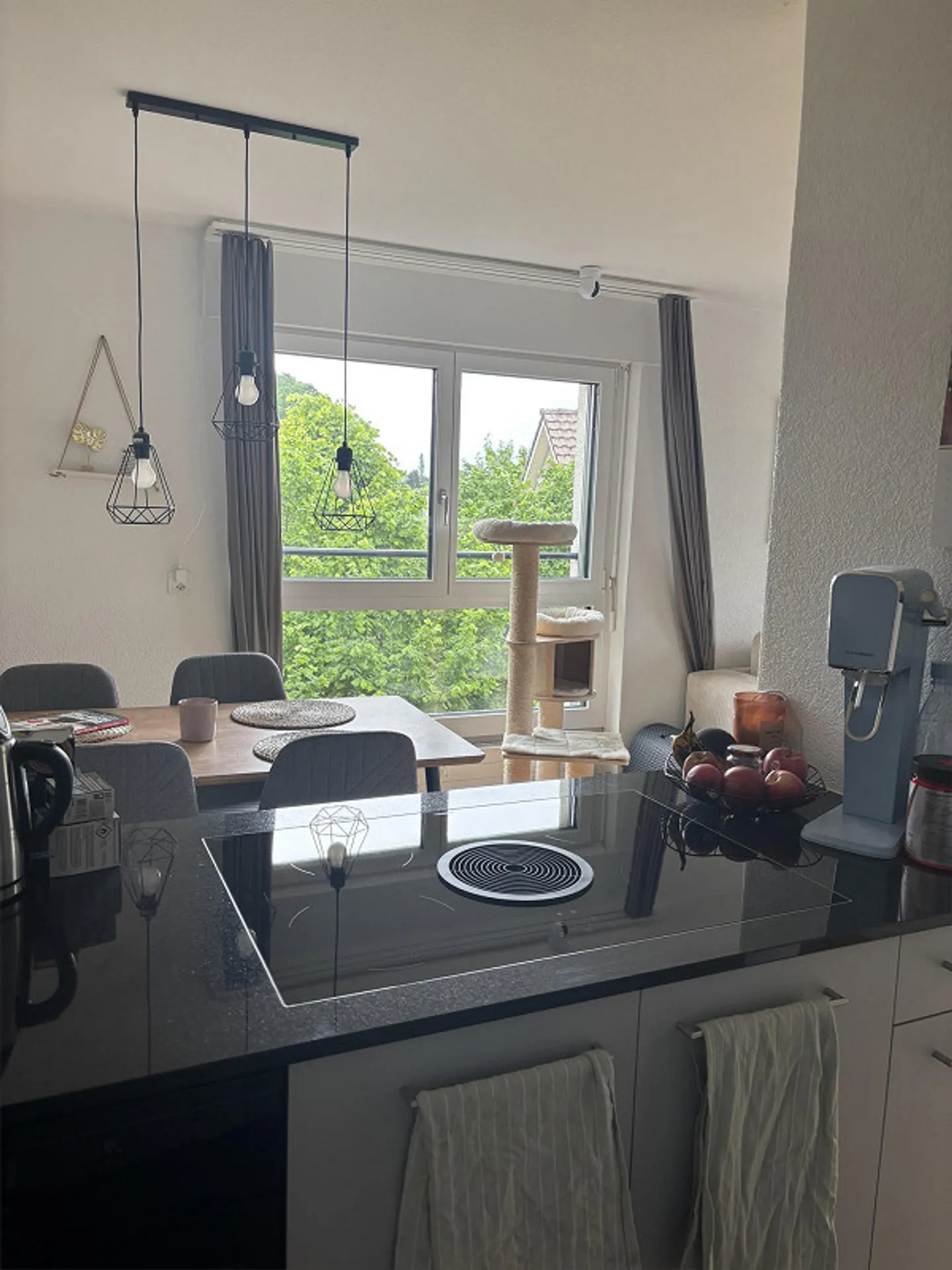 2.5-Zimmerwohnung - Foto 4 von 12