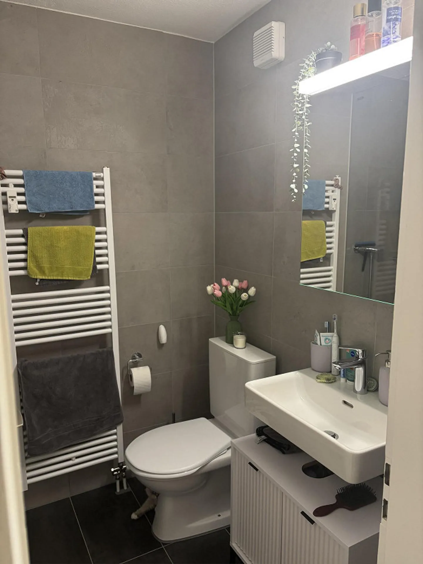 2.5-Zimmerwohnung - Foto 7 von 12