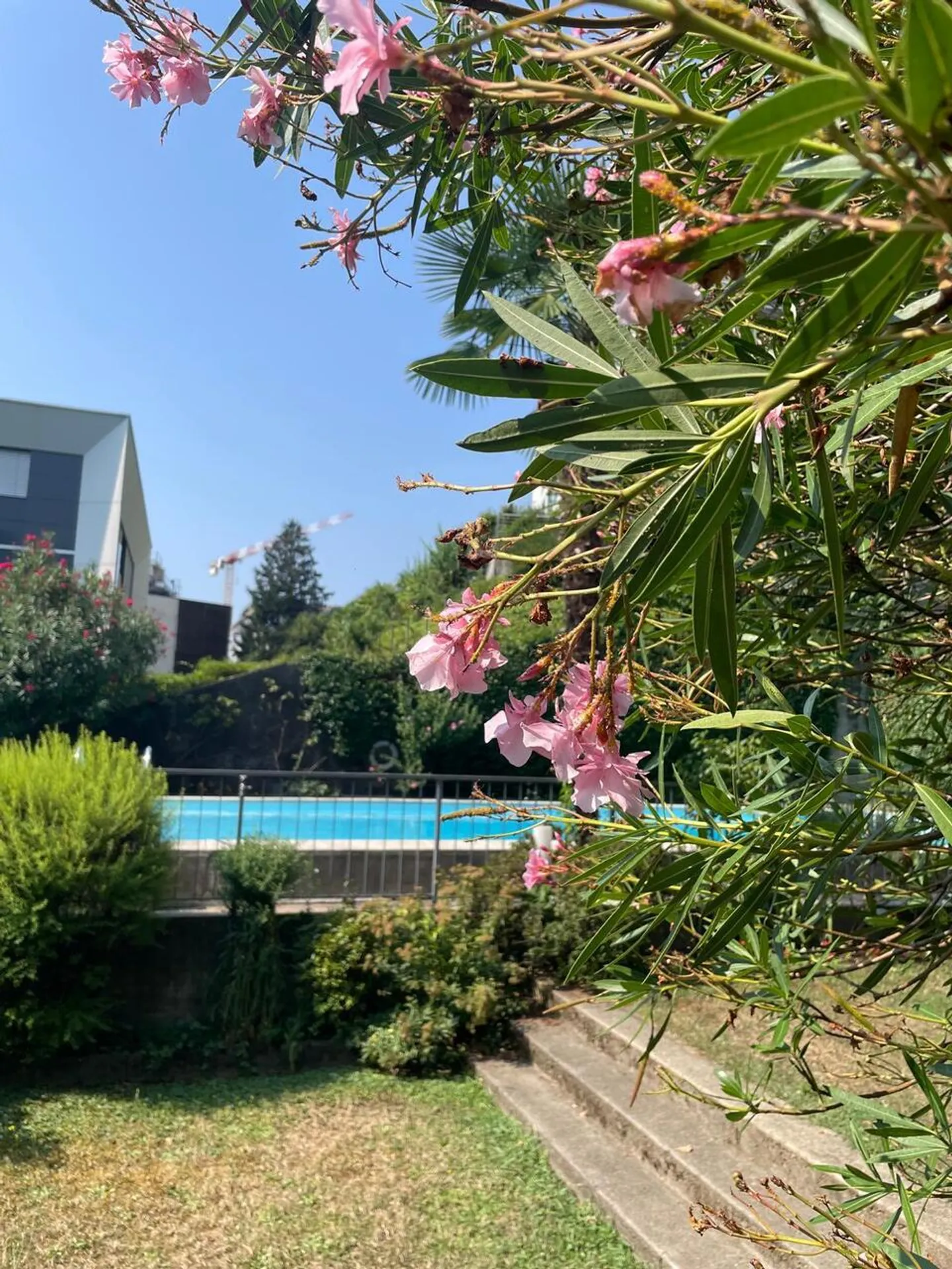 GERÄUMIGE 1.5 ZIMMER MIT WOHNKÜCHE UND NUTZUNG DES SCHWIMMBADES - Foto 12 von 15