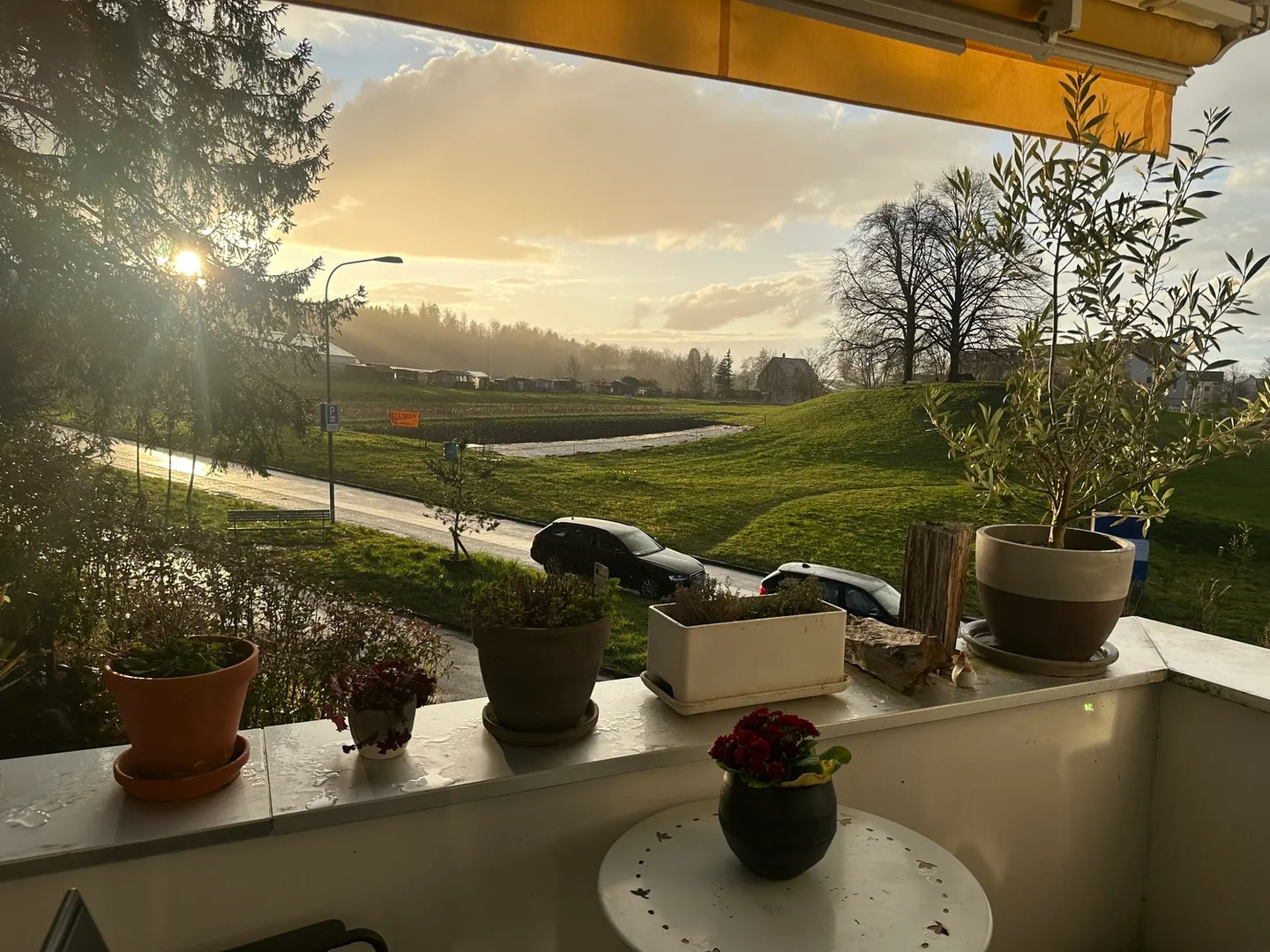 Modern Apartment with Green View - Photo 5 of 5