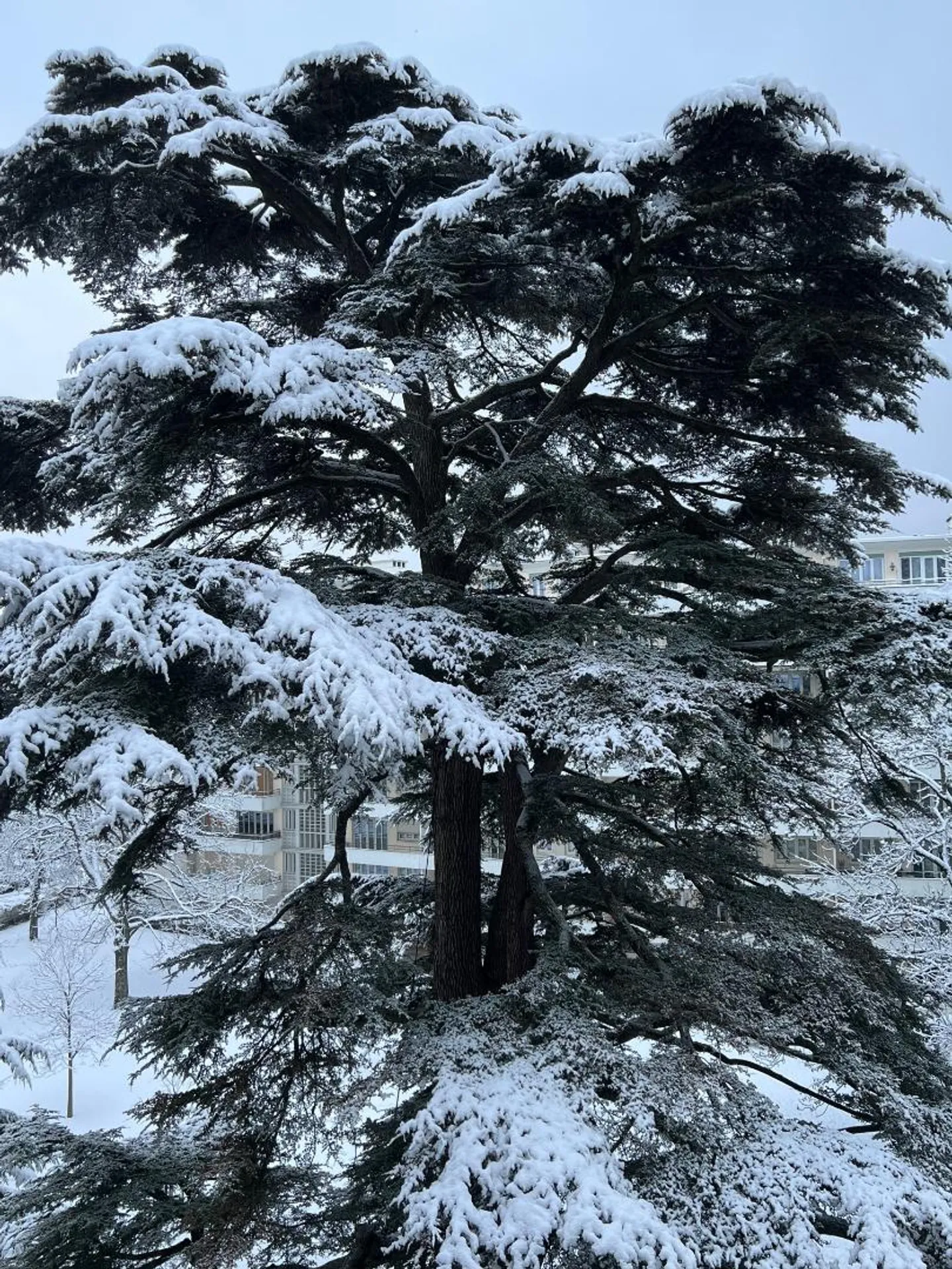 4-Zimmer-Wohnung - Foto 10 von 12