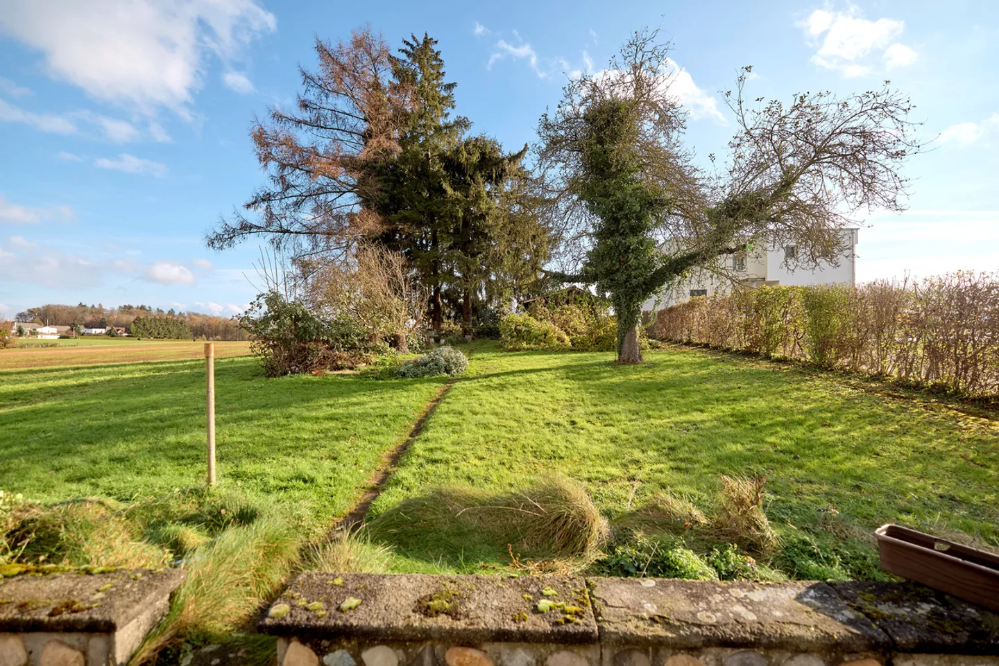 IDEALE PER NUOVI PROGETTI RESIDENZIALI: TERRENO EDIFICABILE DI 1.389 M2 - Foto 6 di 13