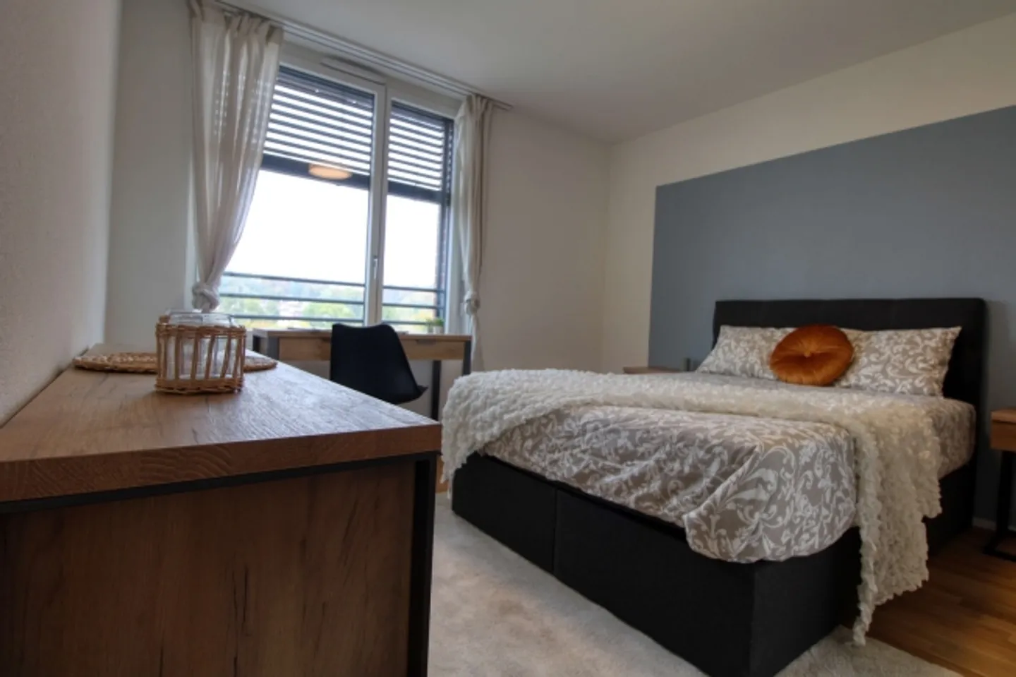 Spacious Living Apartment in Crissier with Private En-Suite Bathroom - Photo 1 of 9