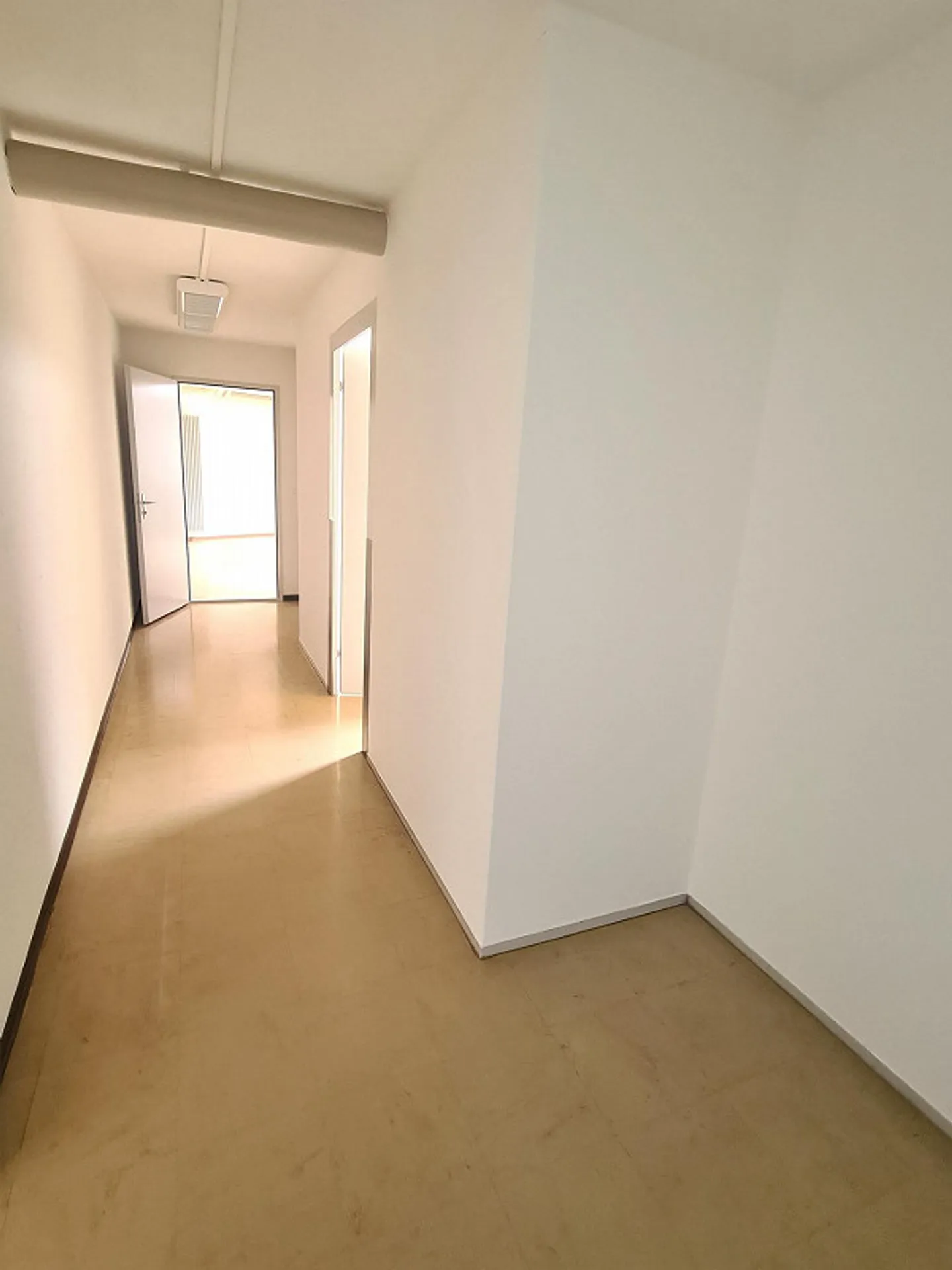 La tua nuova e attraente posizione a Winterthur - Foto 9 di 16