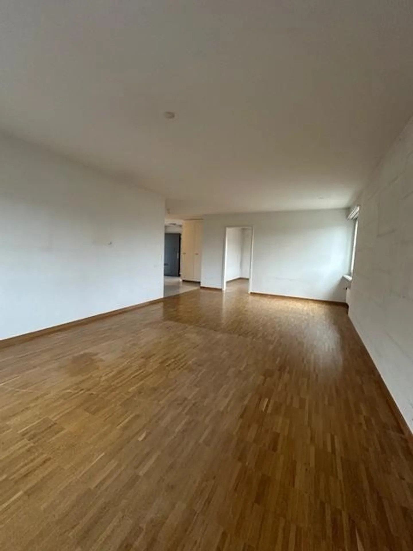 3.5 Room Apartment in a Quiet Location in Adliswil - Photo 9 of 13