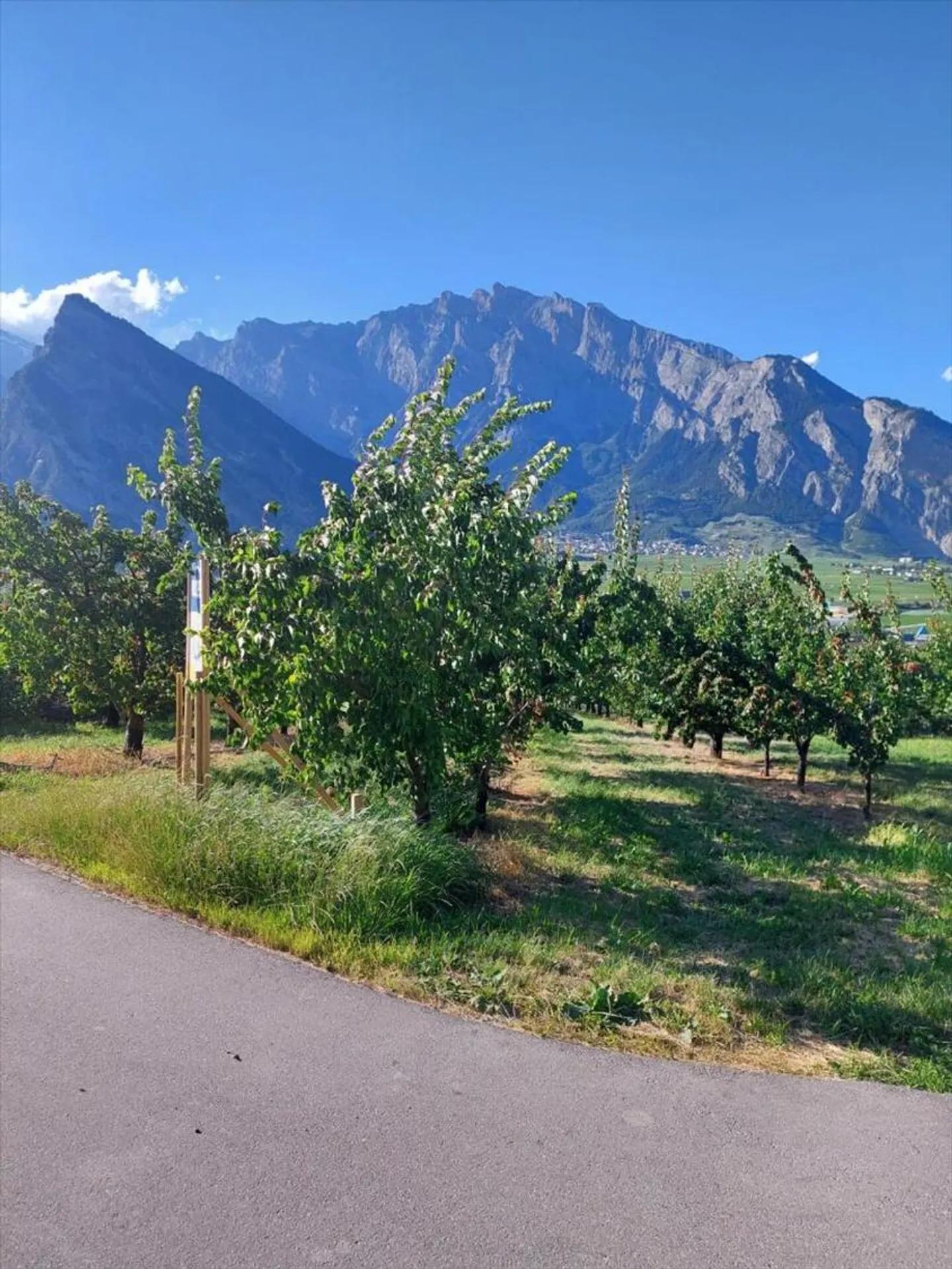 Villa 5.5 stanze - Foto 5 di 13