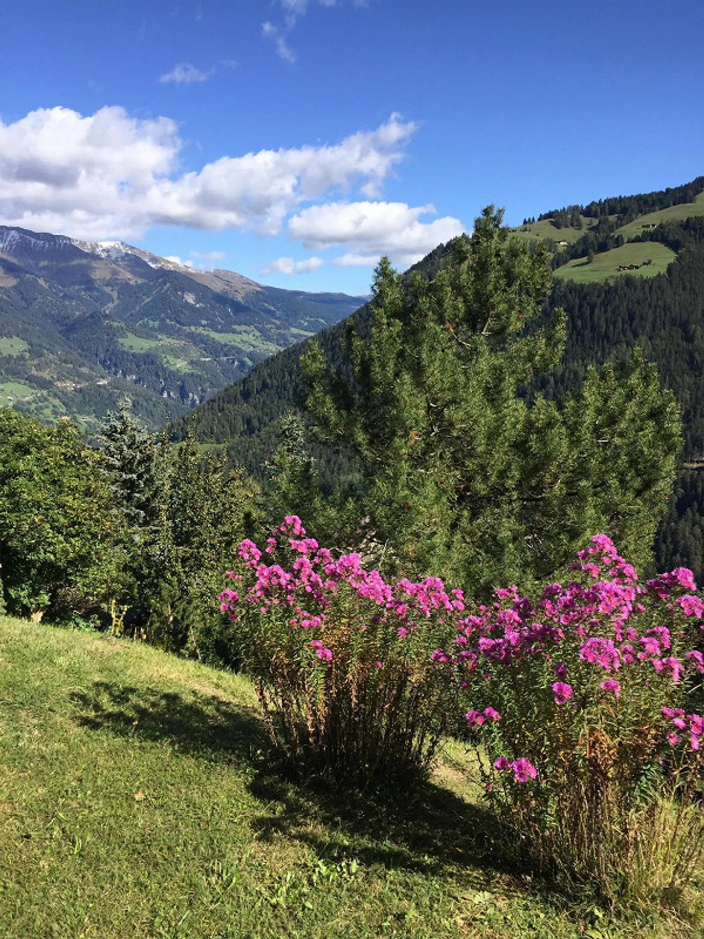 Casa unifamiliare - Foto 10 di 11