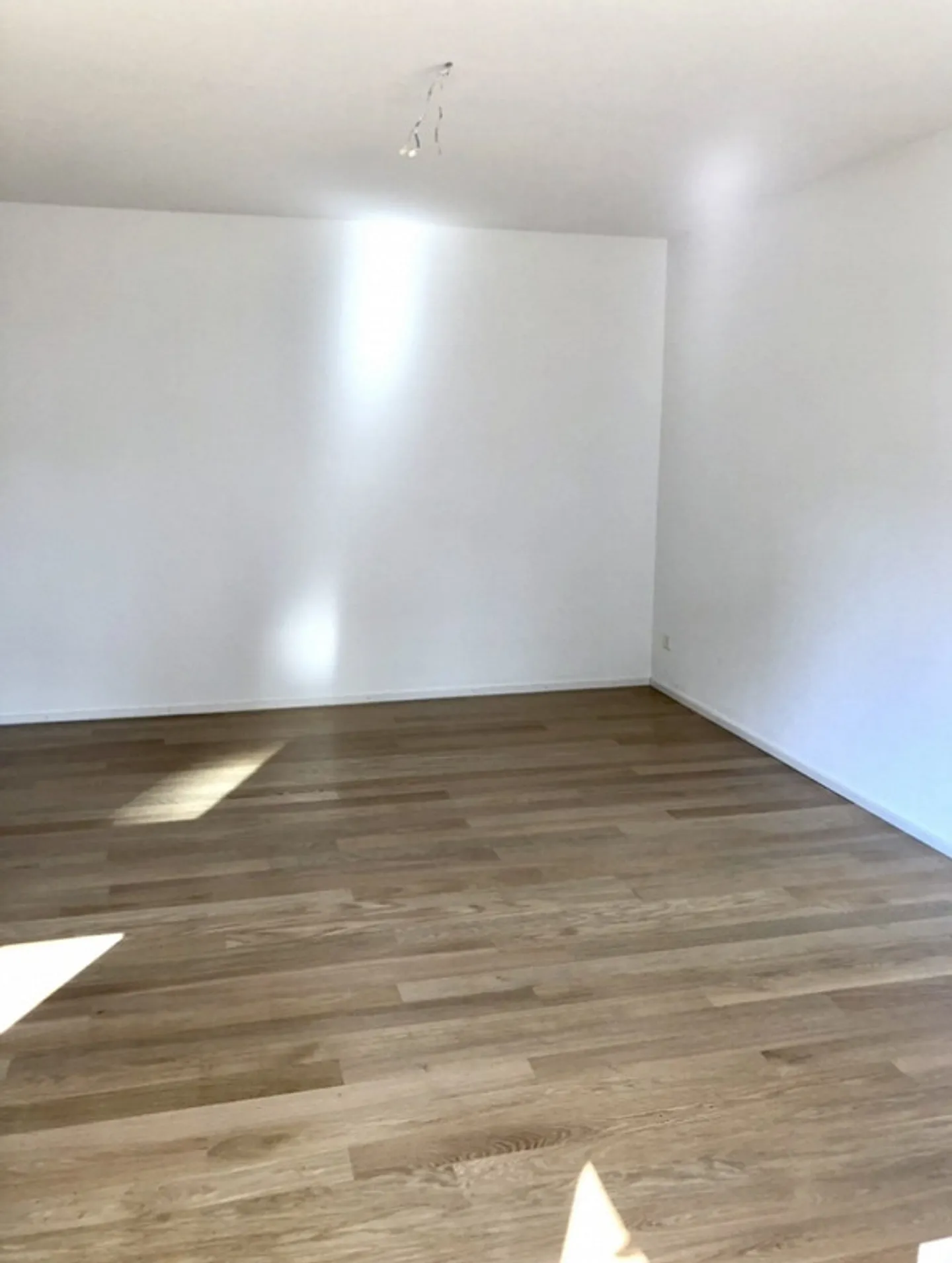 Wunderschöne 2.5-Zimmerwohnung im Liebefeld - Foto 8 von 20