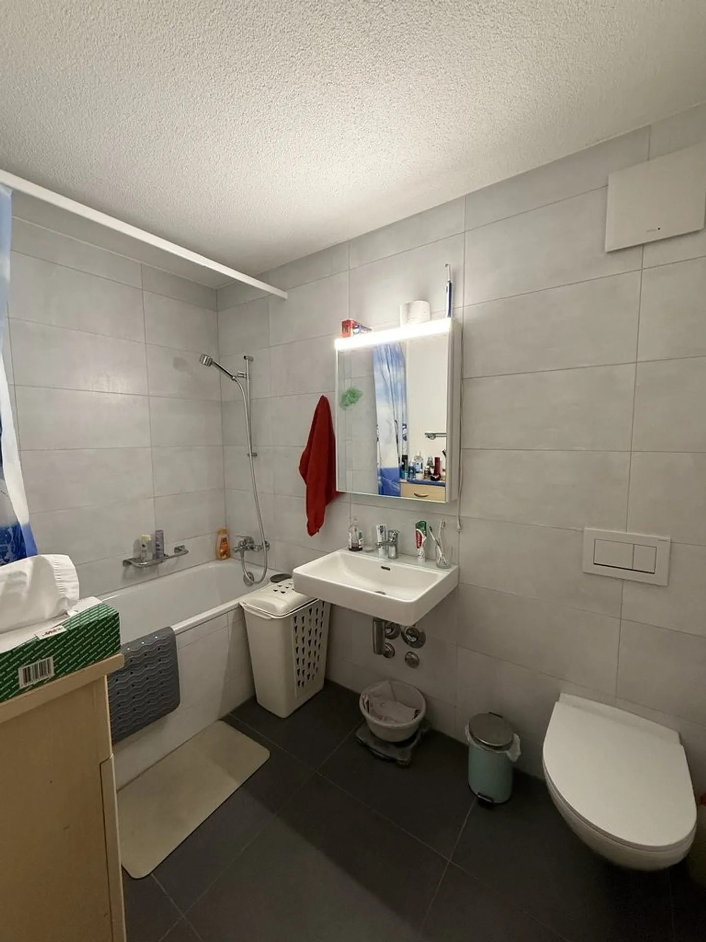 Appartamento 3.5 stanze - Foto 6 di 9