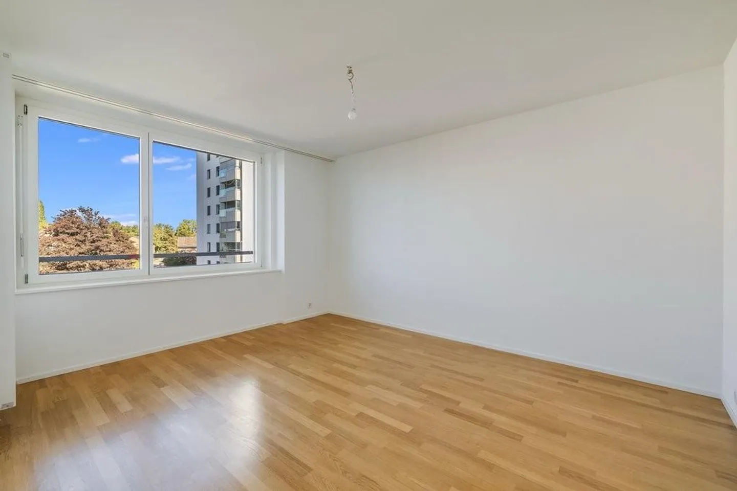 First occupancy after renovation - Photo 4 of 7