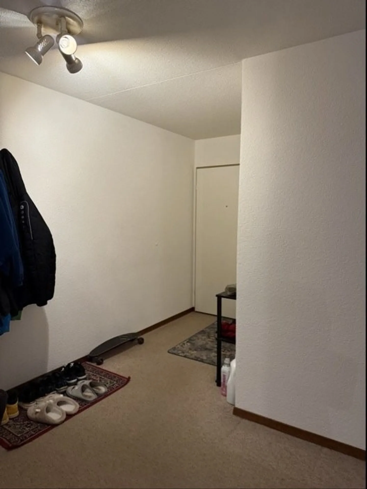 Appartamento 3.5 stanze - Foto 8 di 9