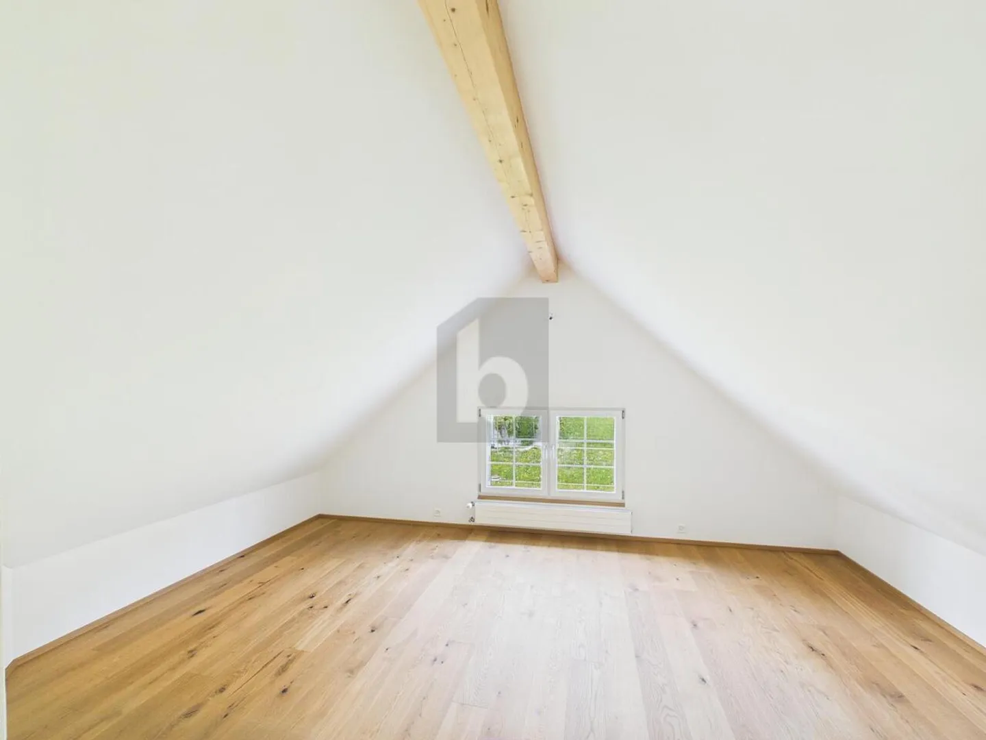 UNICO! CASA APPENZELLER INCONTRA LA MODERNITÀ - Foto 4 di 6
