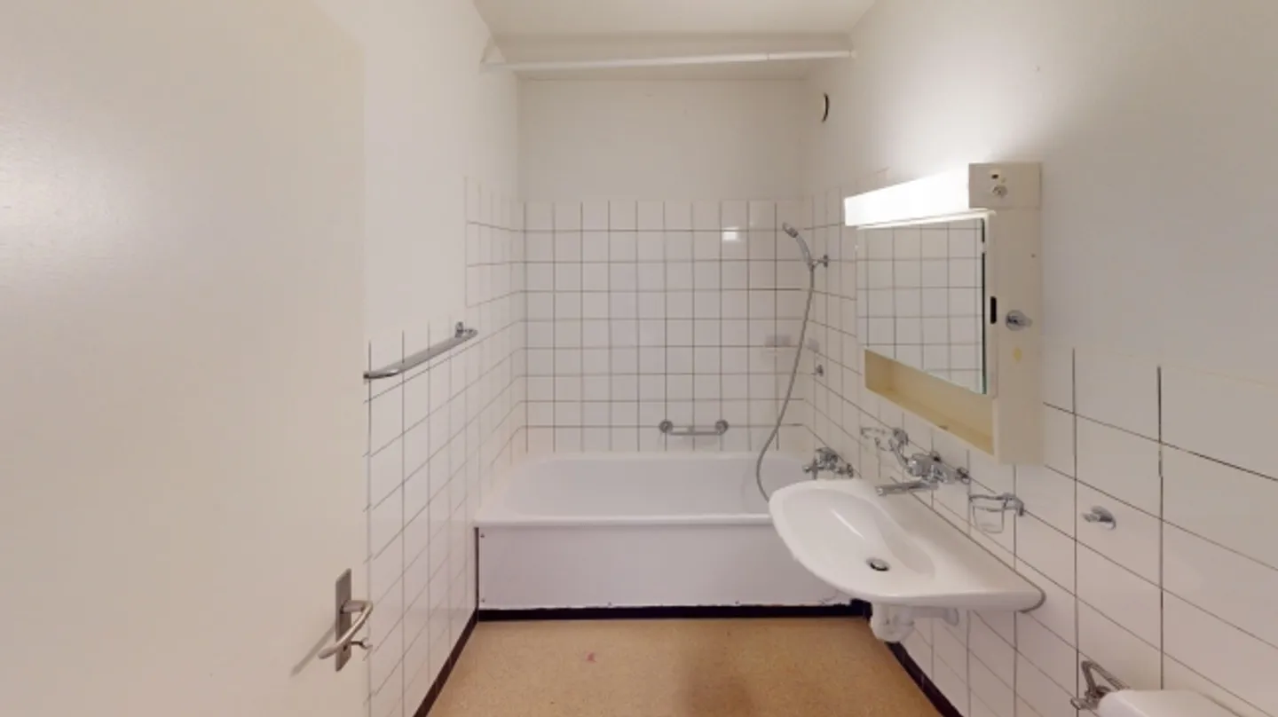 Central 3-Room Apartment 10 min from Basel City Center - Photo 8 of 10