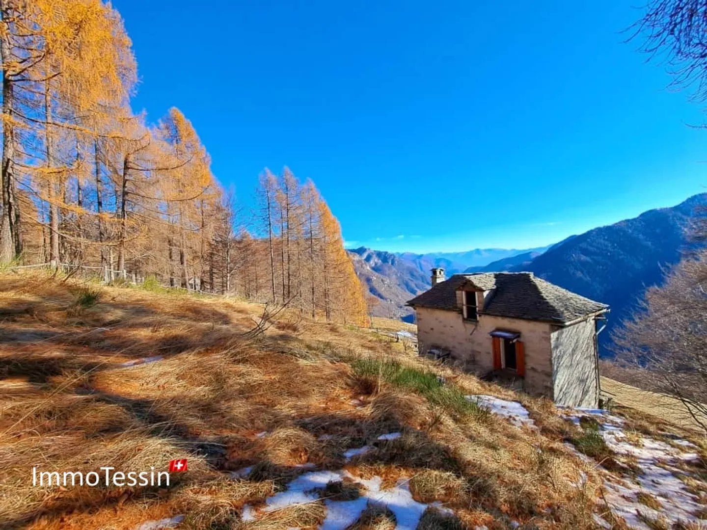 Grosses Rustico an Alleinlage, eingebettet in einer Waldlichtung mit einmaliger Aussicht - Foto 5 von 13
