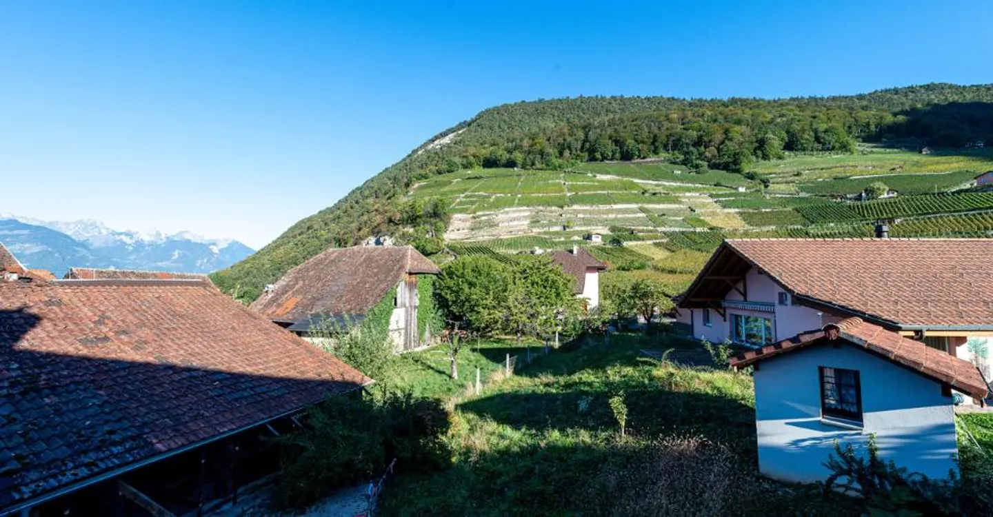 Village house with outbuildings, to renovate, in the center of Ollon - Photo 6 of 8