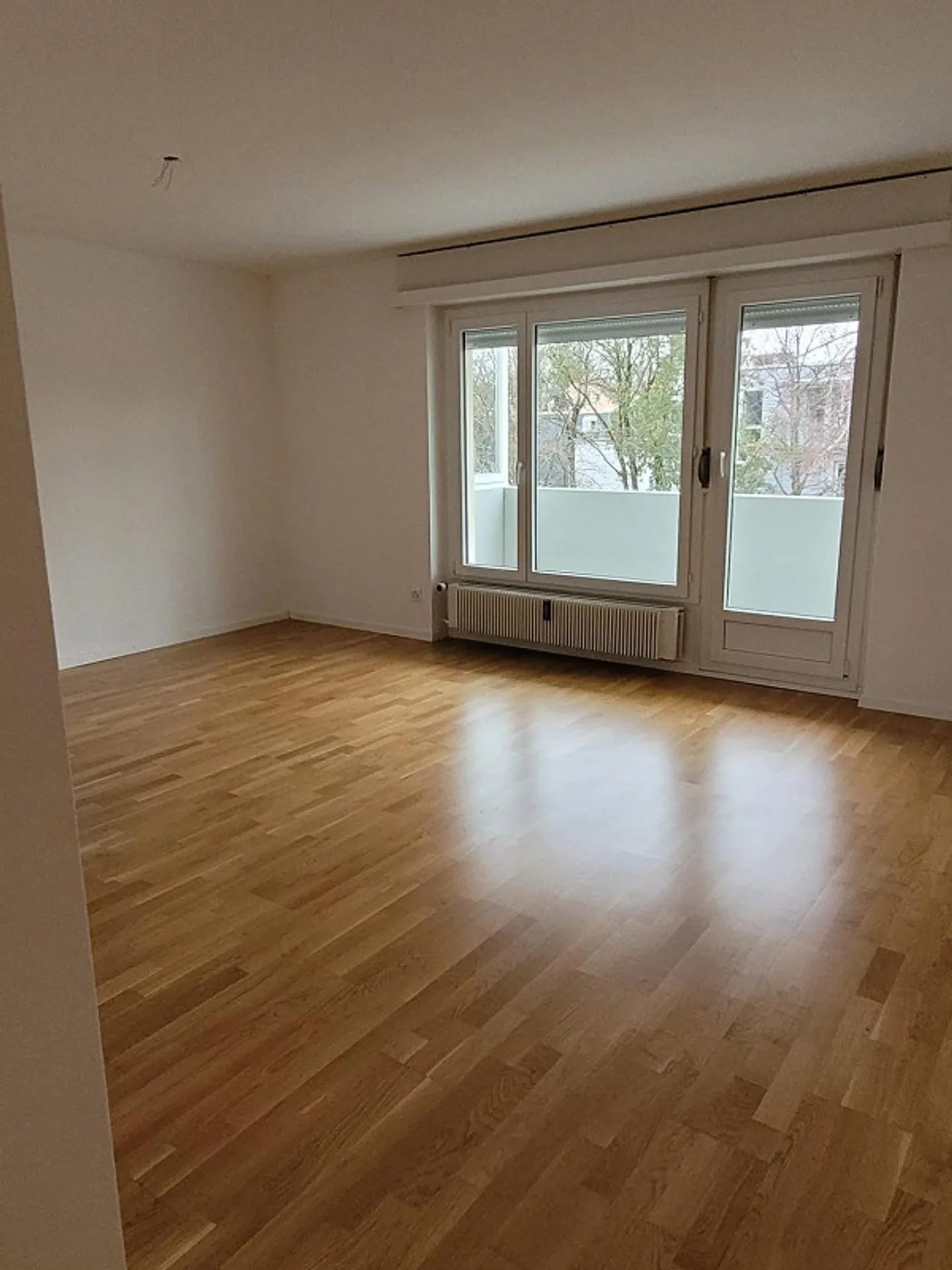 Appartement de 4,5 pièces au bord du lac - Photo 4 sur 12