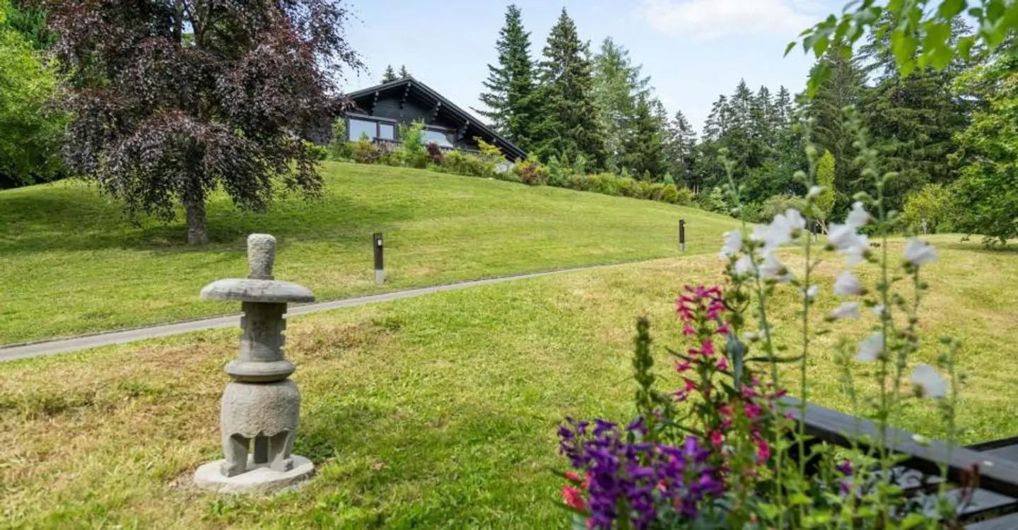 Spacious chalet with heated pool and stunning view of the Alps - Photo 8 of 12
