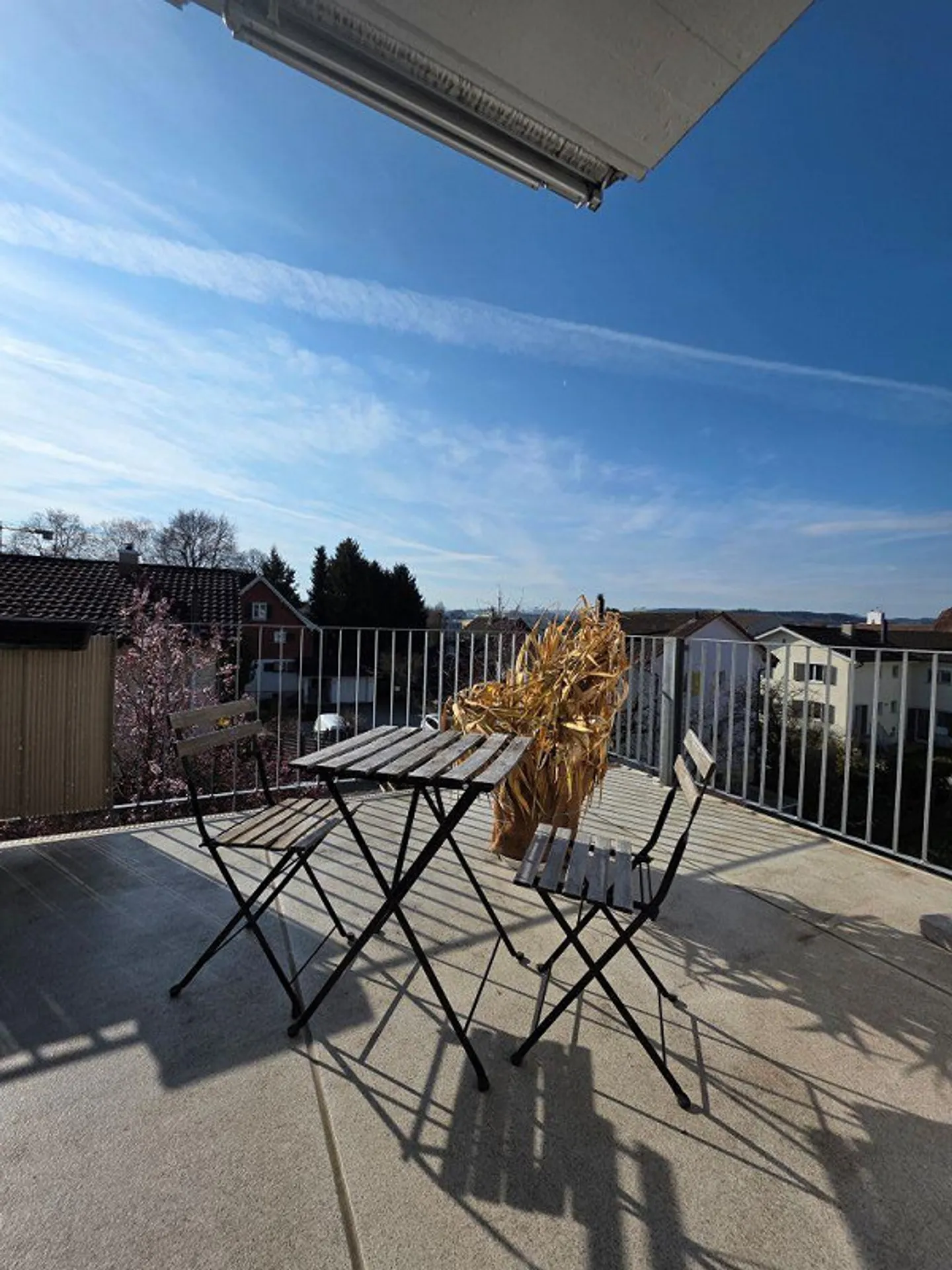 Vivere in città ma immersi nel verde! - Foto 10 di 13