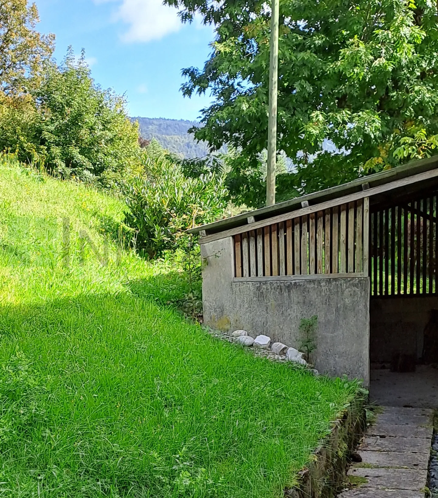 Casa con 6 camere, grande giardino e studio indipendente - Foto 21 di 25