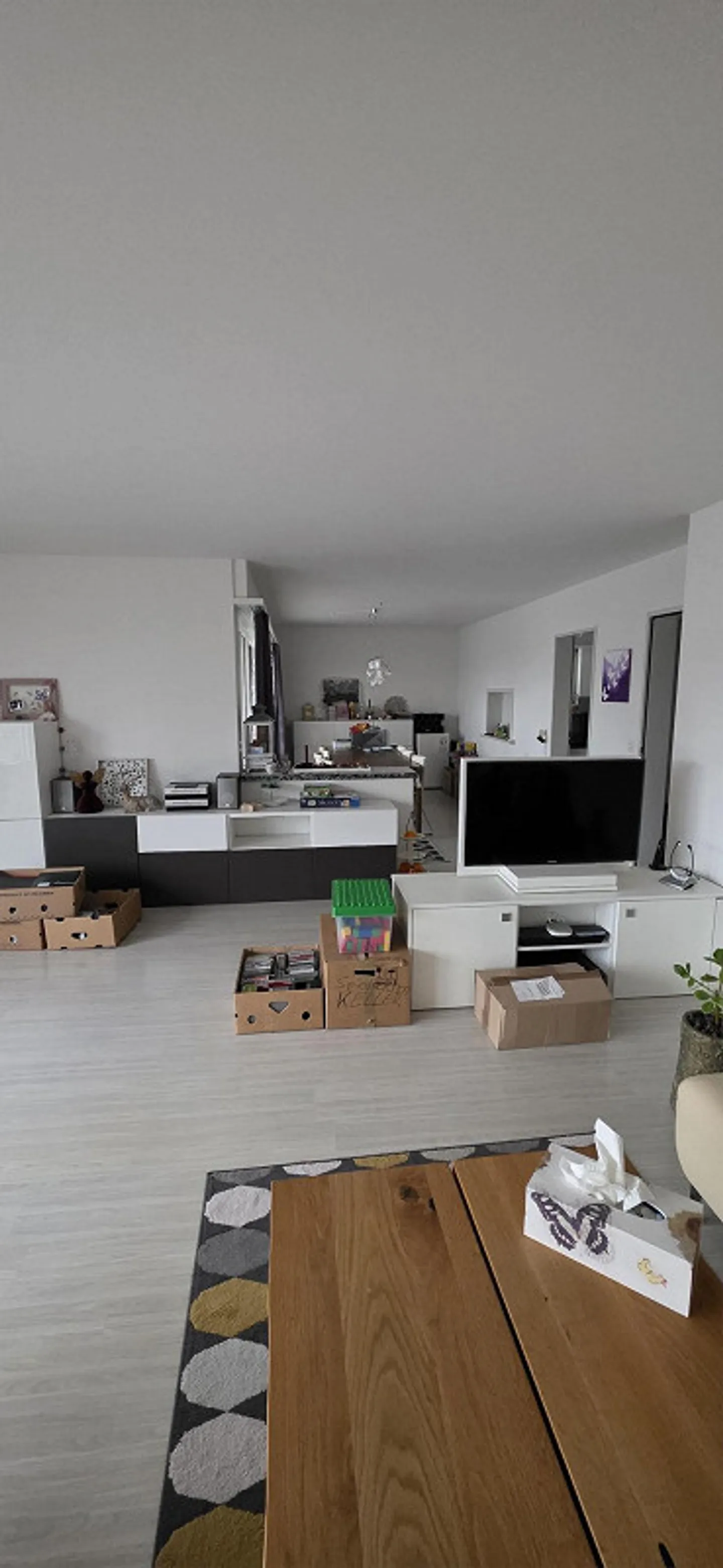 Ampio e luminoso appartamento di 4 stanze con grande terrazza e garage singolo - Foto 3 di 8