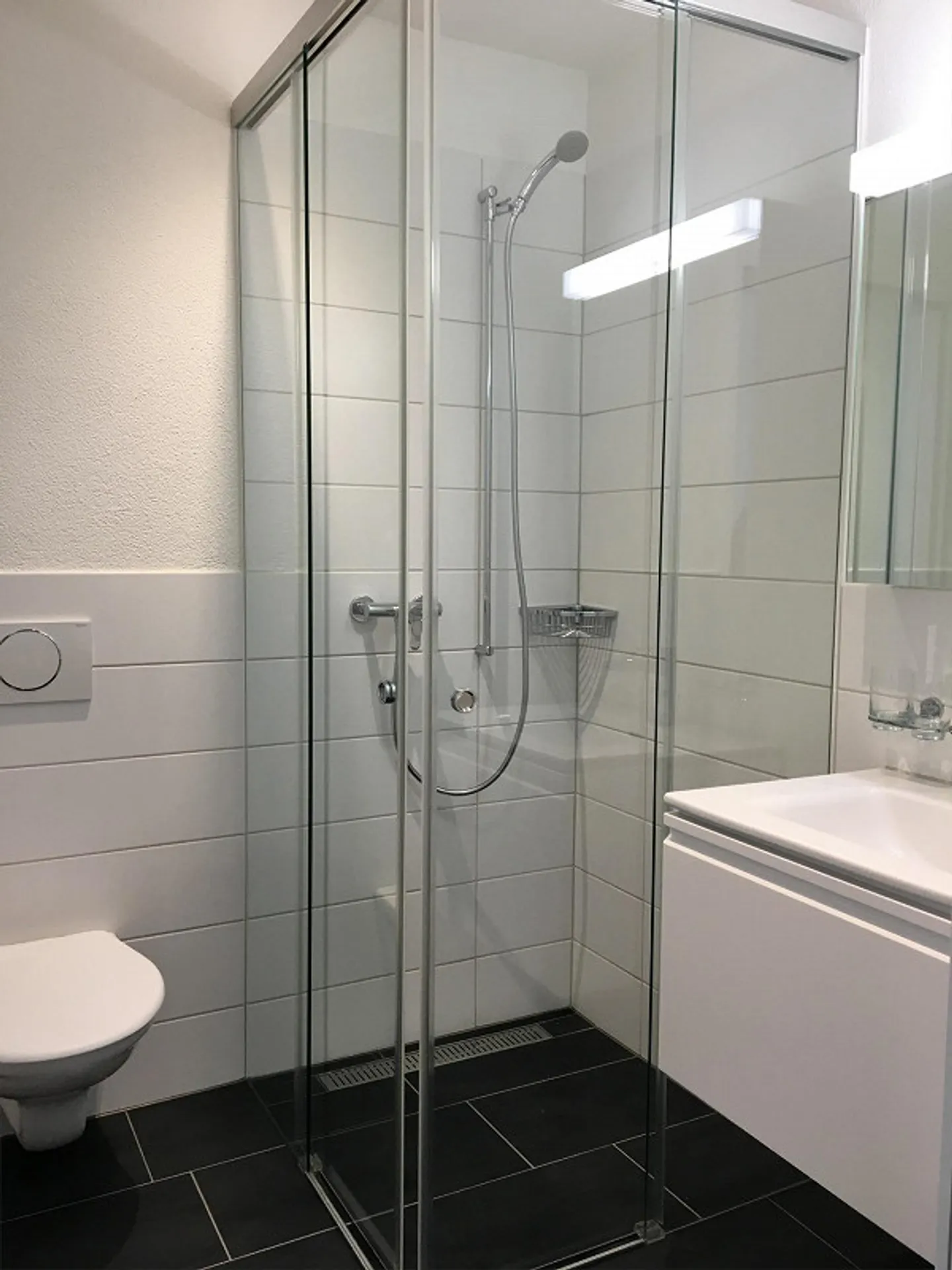 5.0 Room Apartment in Spreitenbach - Photo 5 of 8