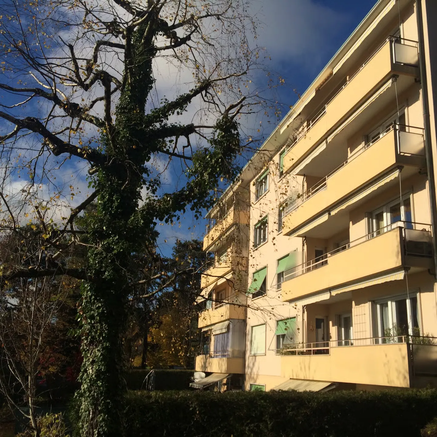 6,5-Zimmer-Wohnung in Pully - Foto 1 von 7