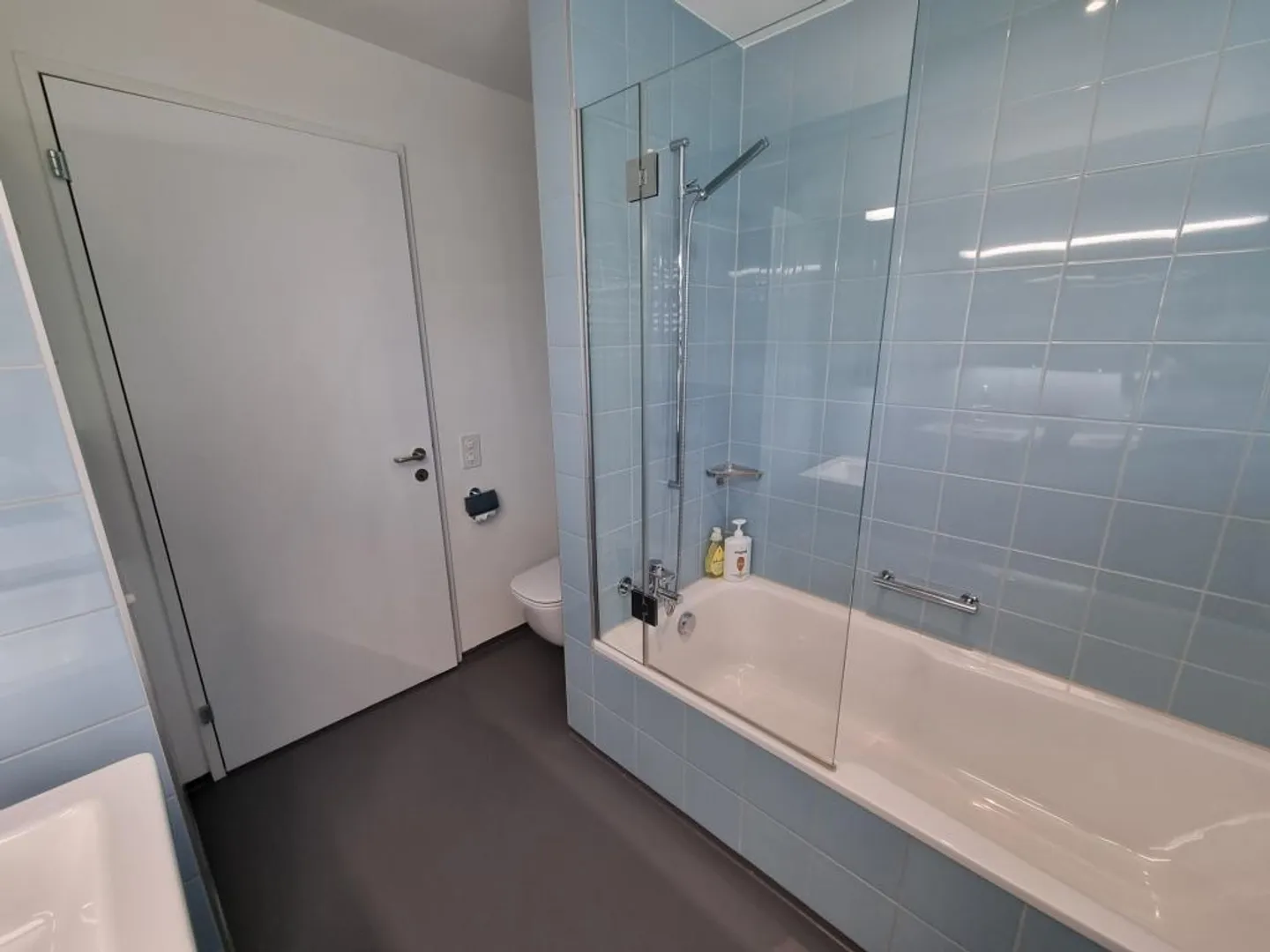 Vivre dans le quartier calme et verdoyant de Bramberg (près de Kt. Spital) - Photo 6 sur 14