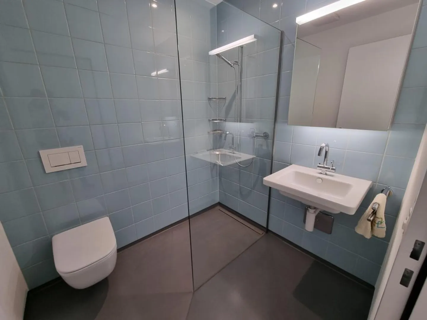 Vivre dans le quartier calme et verdoyant de Bramberg (près de Kt. Spital) - Photo 11 sur 14