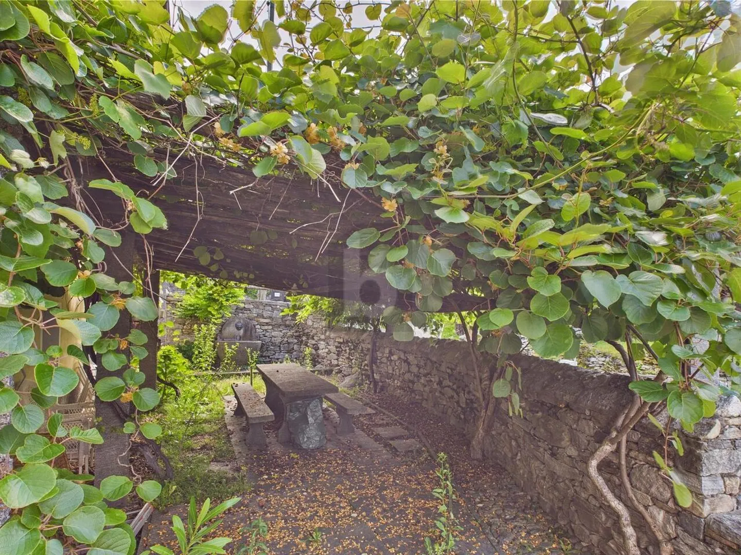 TIPISCHES SONNIGES TICINESE HAUS MIT GARTEN - Foto 2 von 5