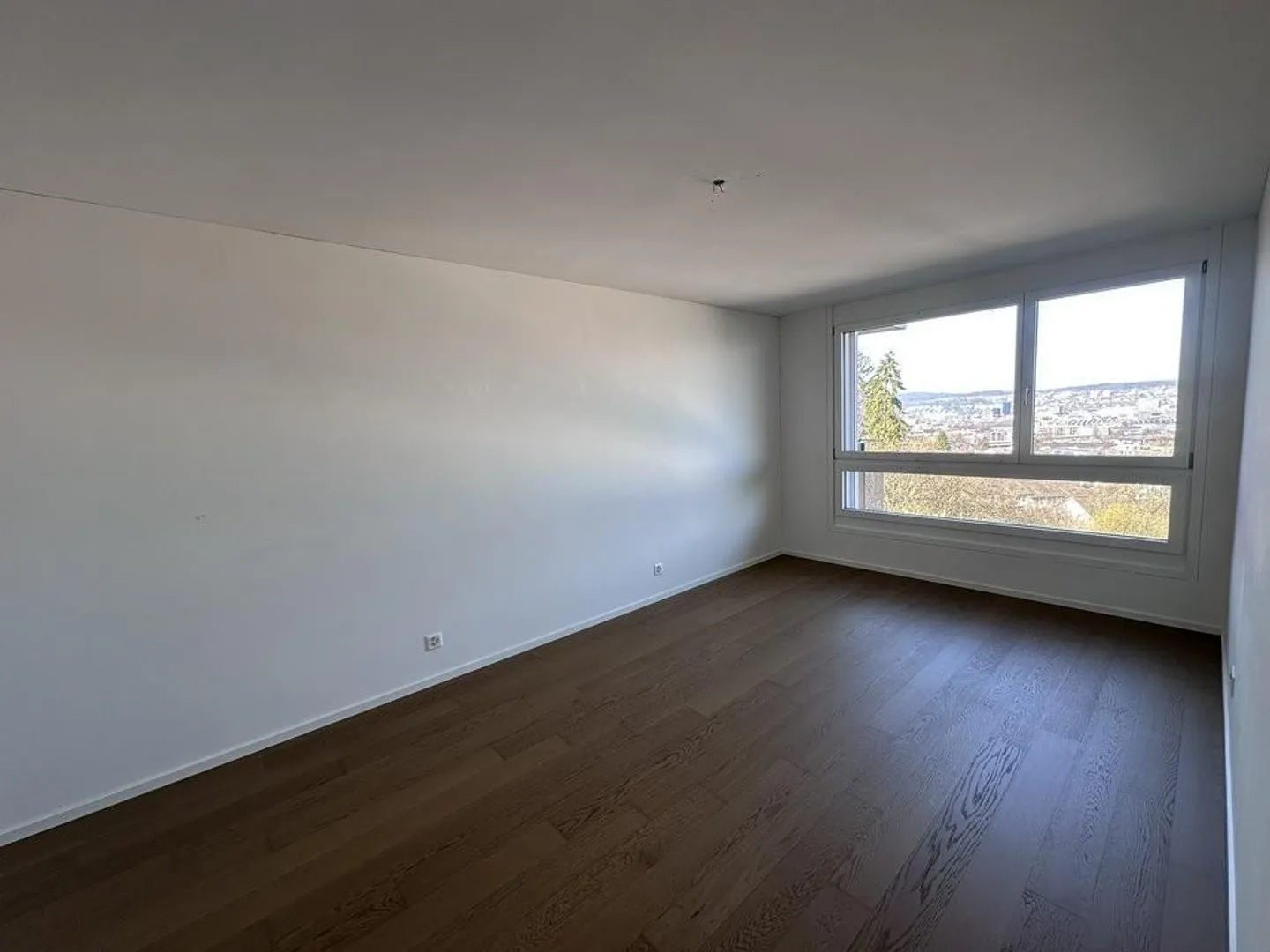 Vue de Zurich - Photo 7 sur 9