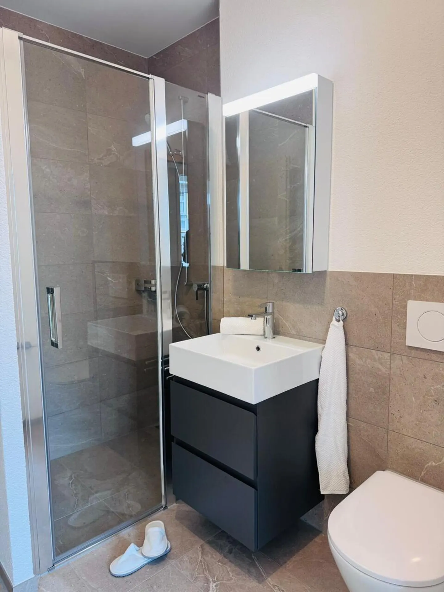 Modern Apartment in Lyss - Photo 3 of 5