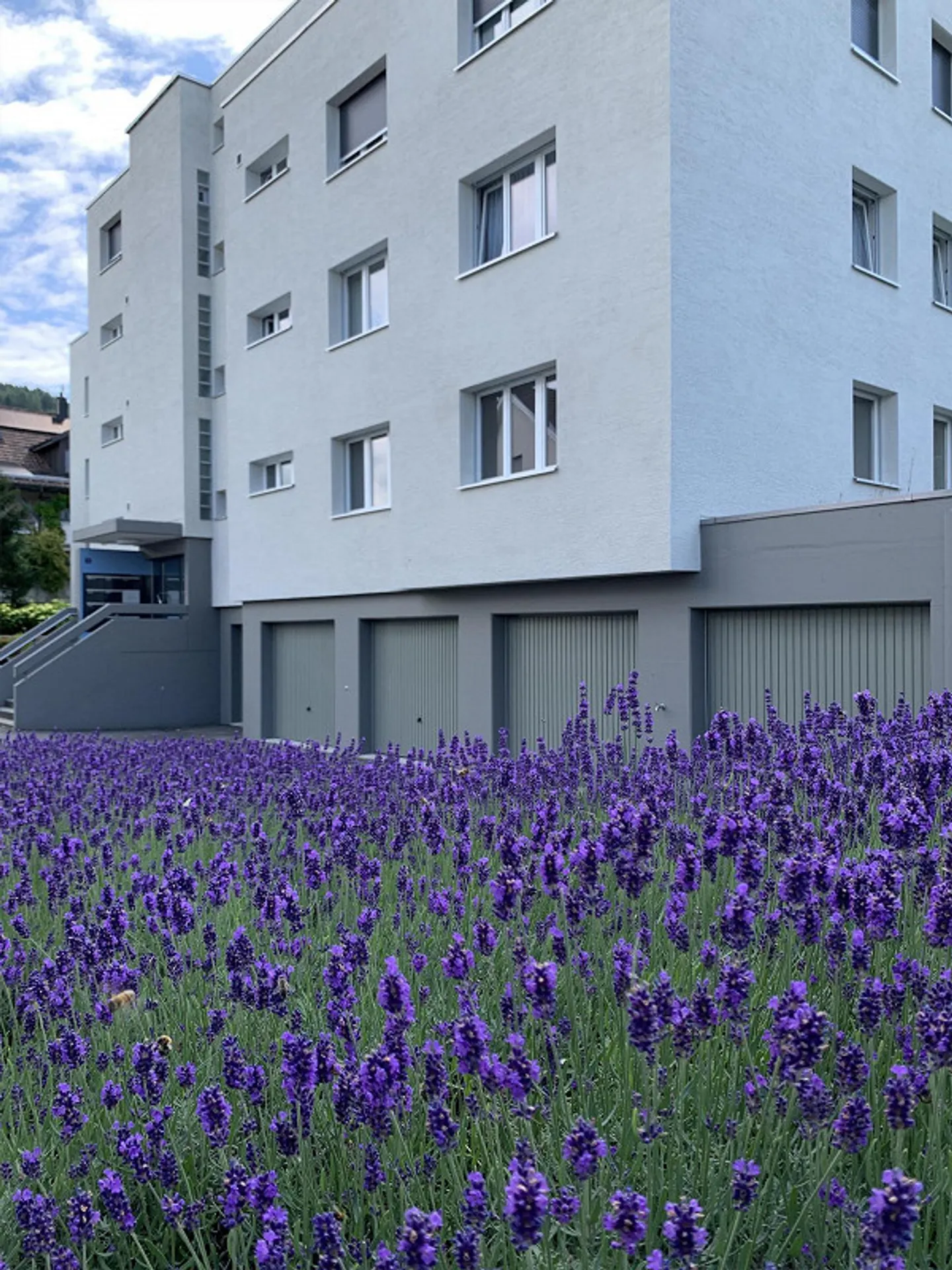 Bell'appartamento di 4,5 stanze - Foto 3 di 15