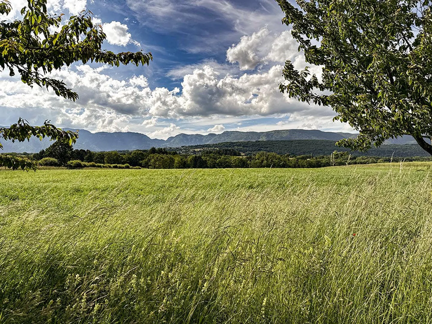 Villa moderne à Chavannes-des-Bois - Photo 1 sur 3