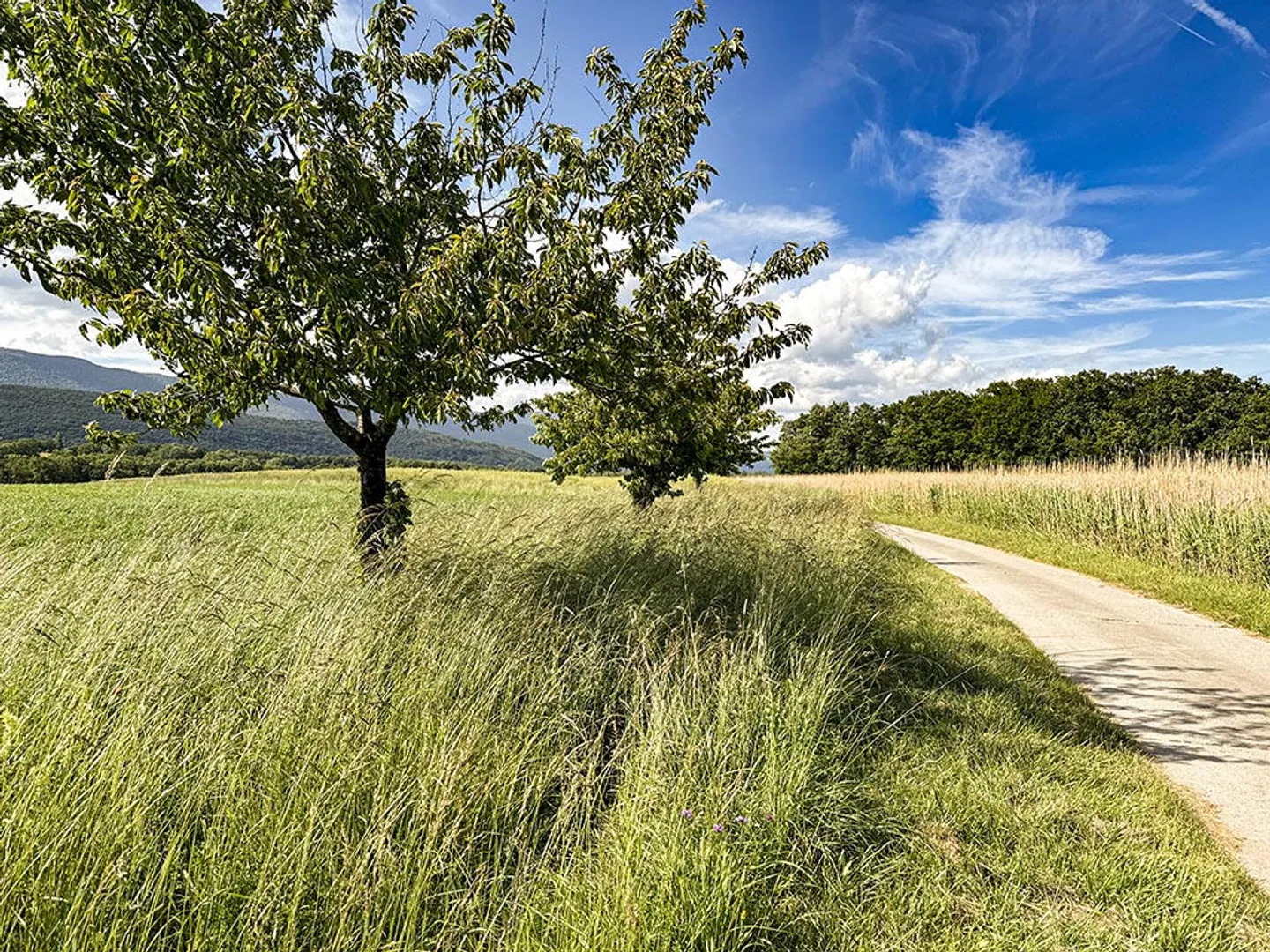 Villa moderne à Chavannes-des-Bois - Photo 2 sur 3