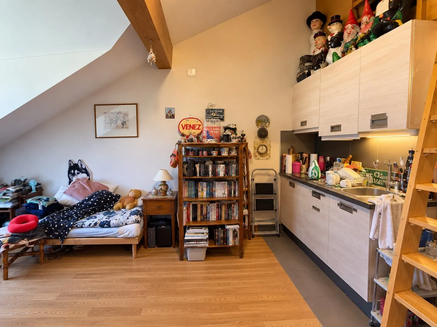 Charmantes Studio zur Miete in Moiry - Foto 2 von 6