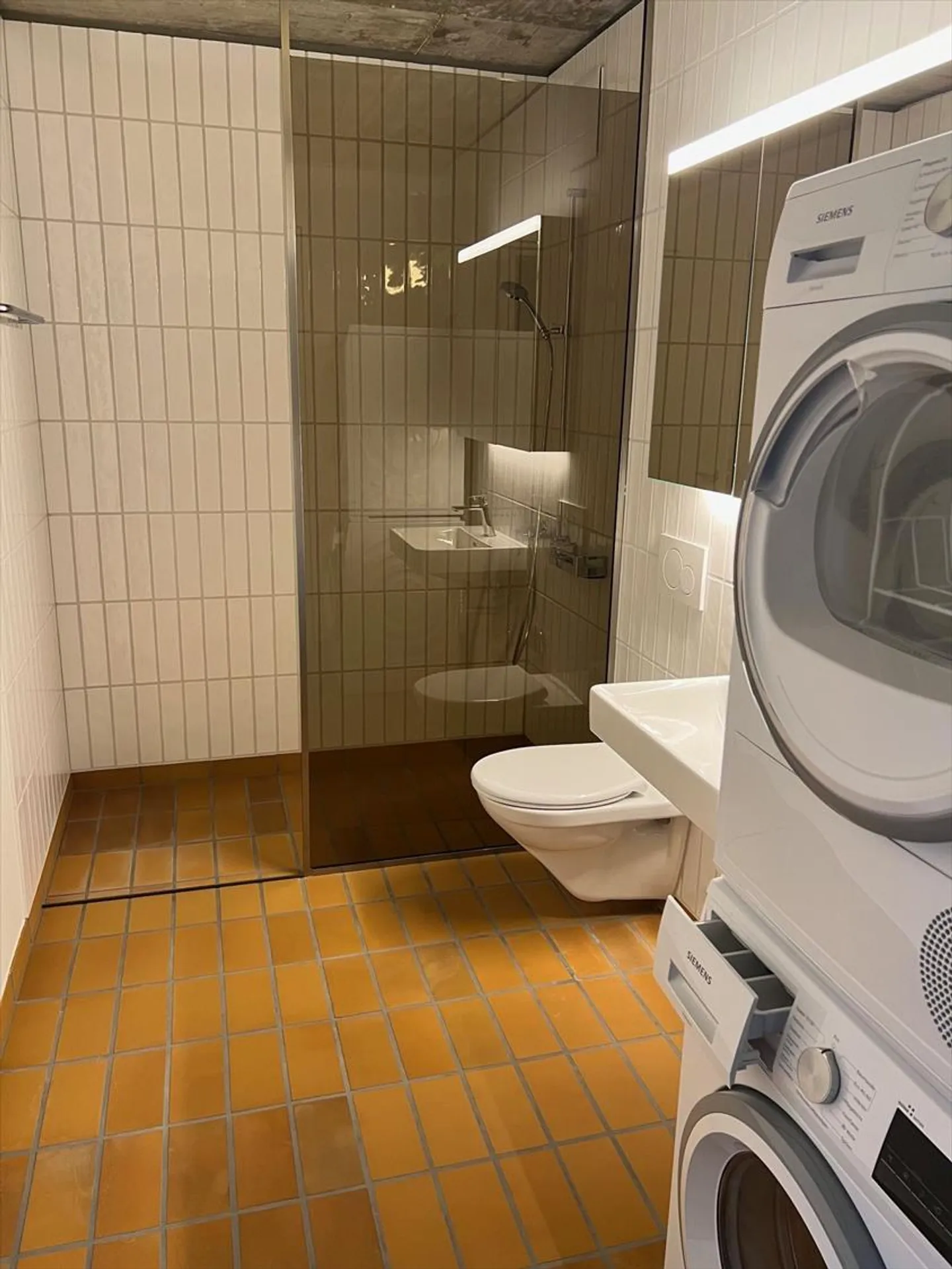 Appartamento 1.5 locali - Foto 5 di 8