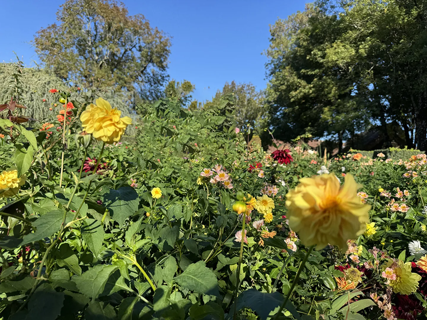 Appartamento 3.5 locali - Foto 3 di 3