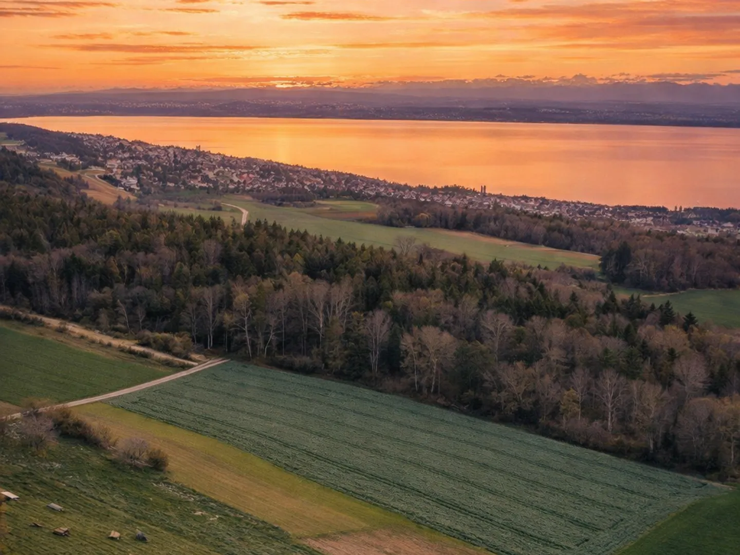 Appartamento 3.5 locali - Foto 1 di 3