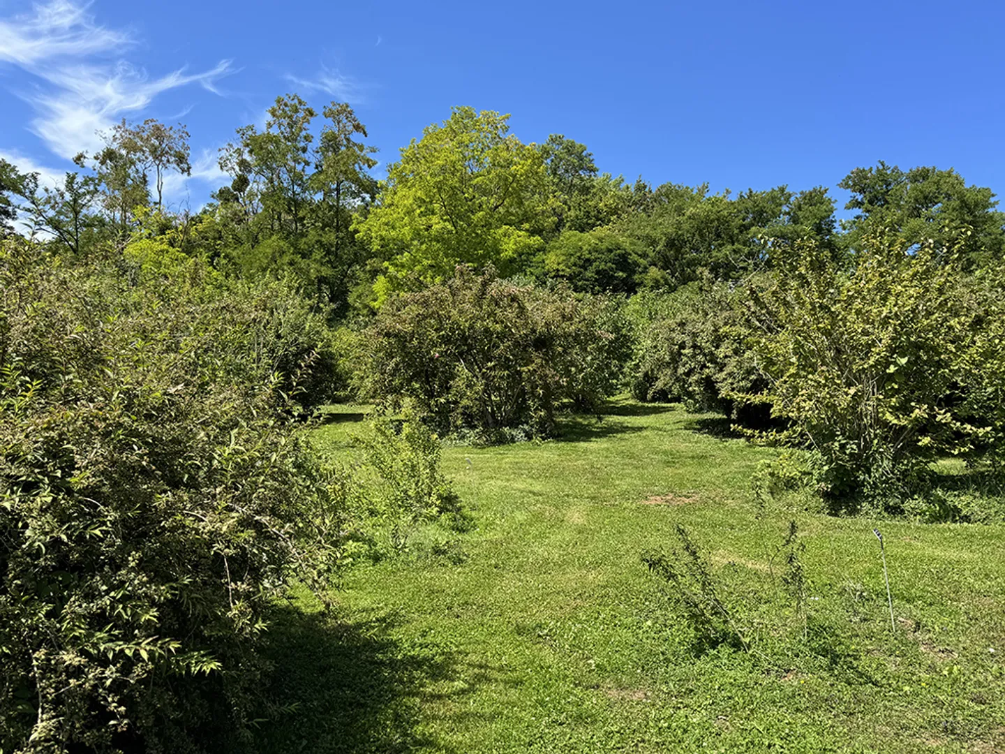 Appartamento 3.5 locali - Foto 2 di 3