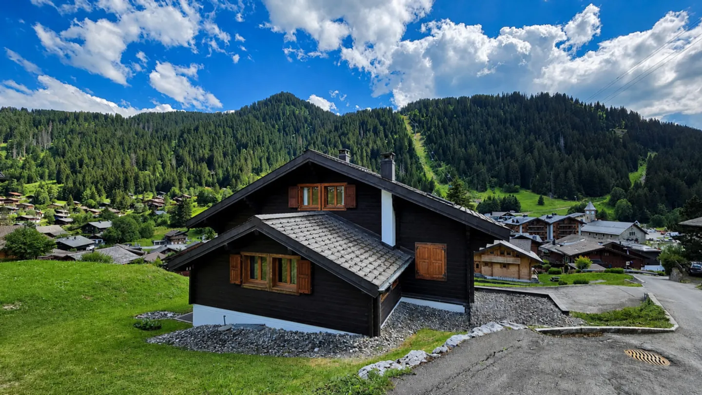 HAVEN OF PEACE WITH ALPINE CHARM - Photo 15 of 16