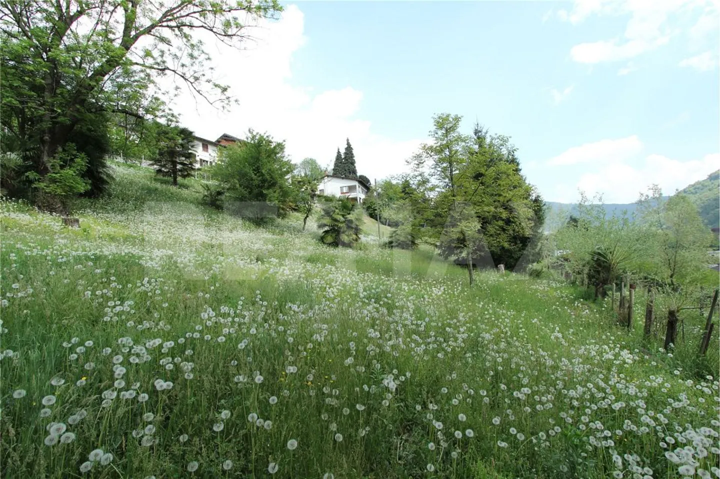 Terrain constructible intéressant avec un grand potentiel - Photo 1 sur 13