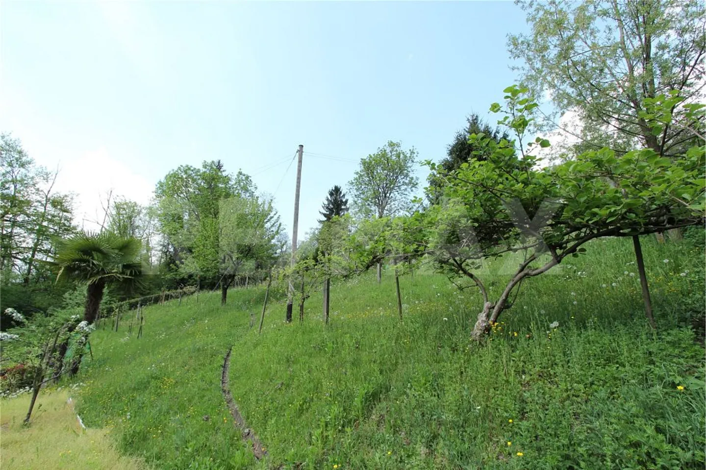 Terrain constructible intéressant avec un grand potentiel - Photo 3 sur 13