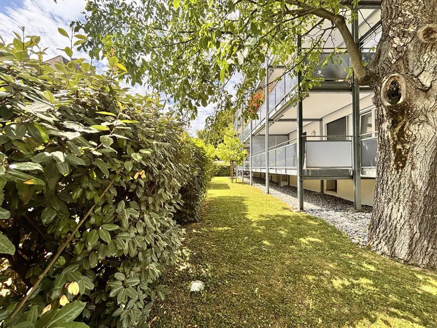 Helle und grosszügige 3.5-Zimmerwohnung an idealer Lage - Foto 3 von 11