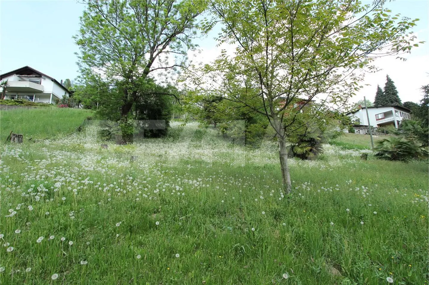 Terrain constructible intéressant avec un grand potentiel - Photo 4 sur 13