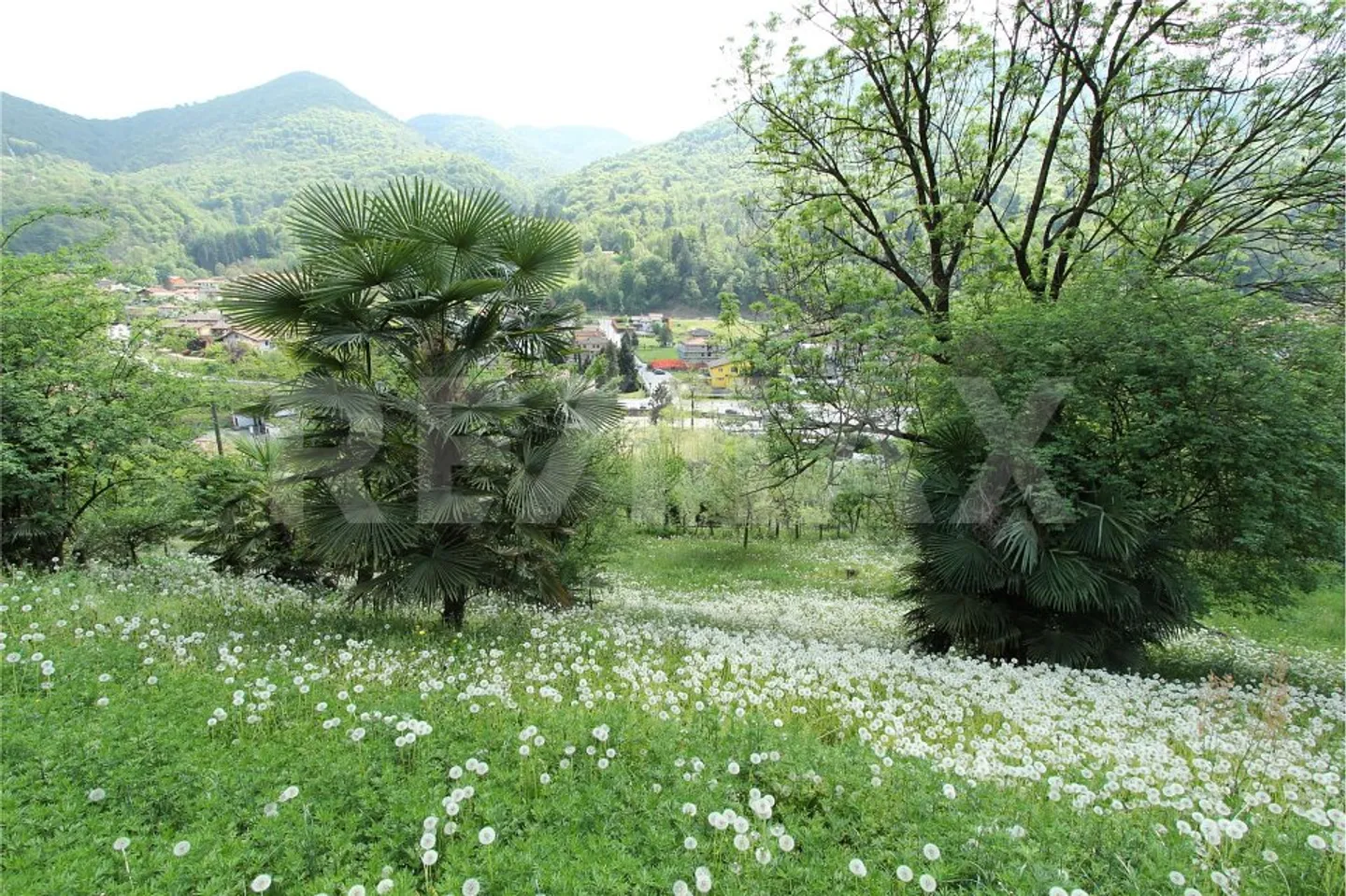 Terrain constructible intéressant avec un grand potentiel - Photo 8 sur 13