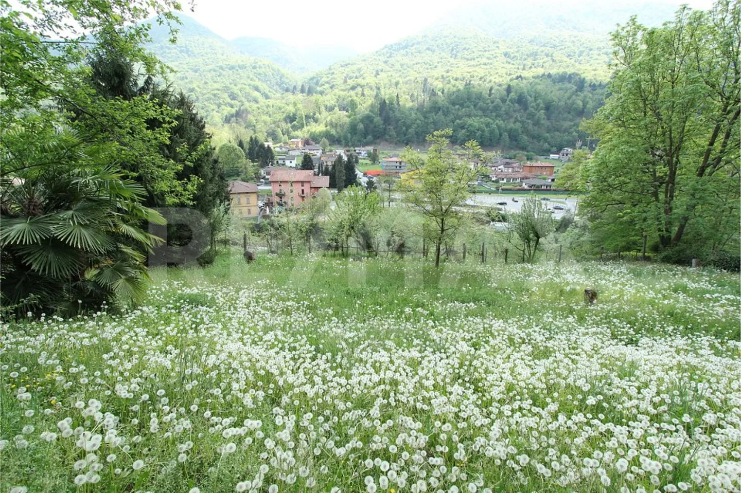 Terrain constructible intéressant avec un grand potentiel - Photo 9 sur 13