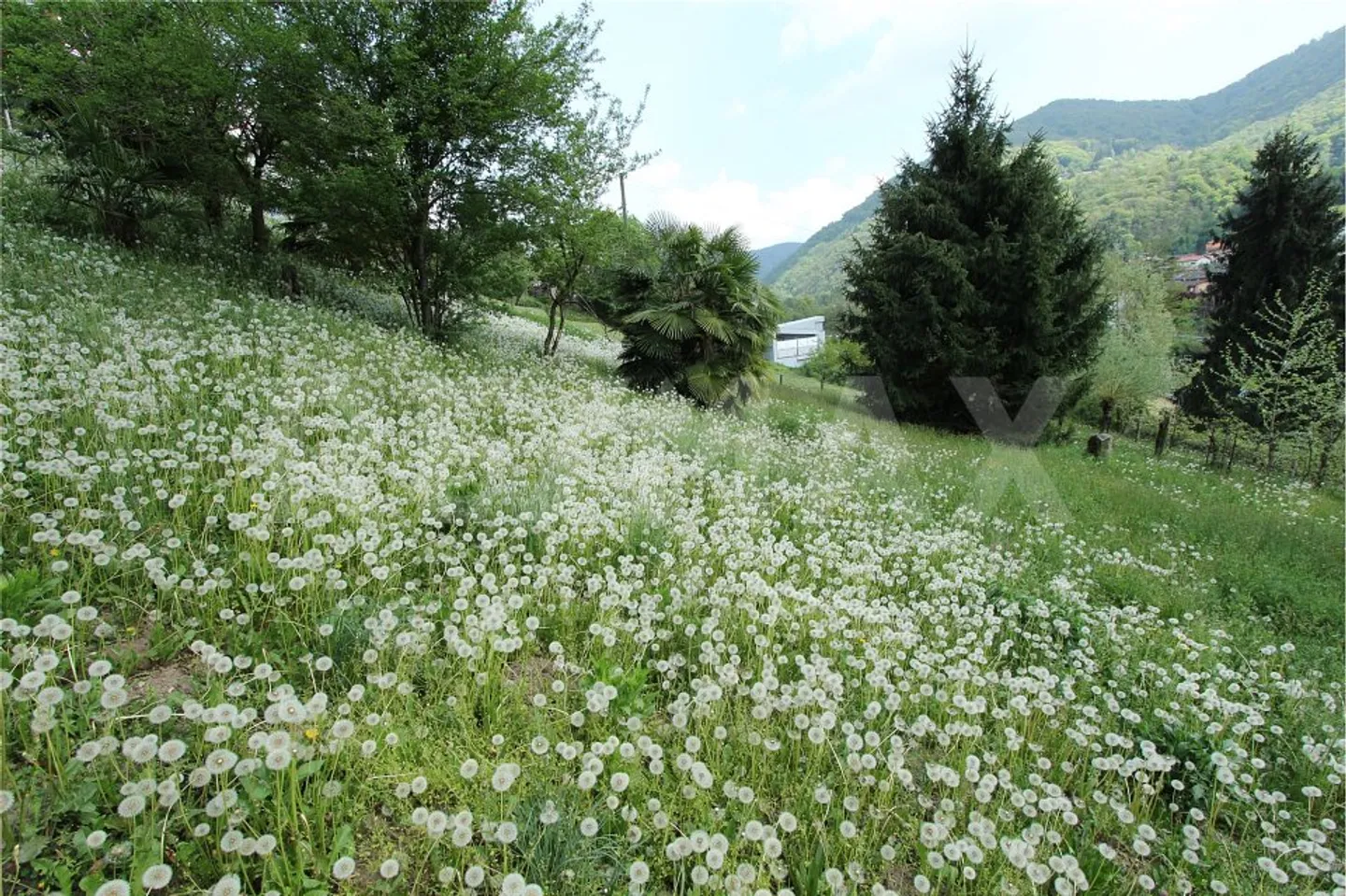 Terrain constructible intéressant avec un grand potentiel - Photo 10 sur 13