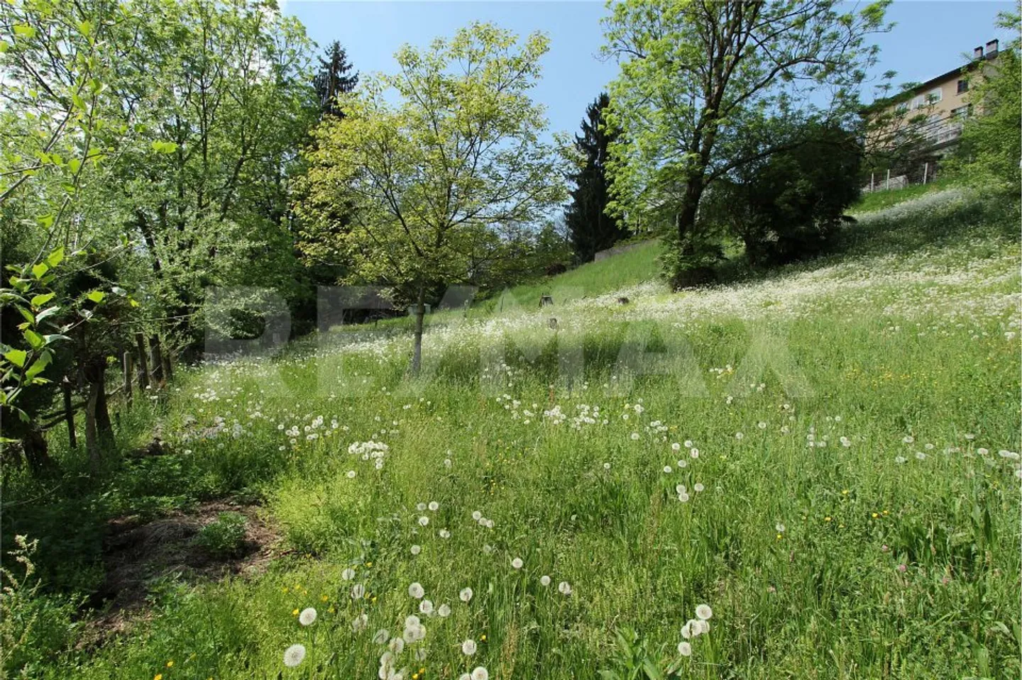 Terrain constructible intéressant avec un grand potentiel - Photo 13 sur 13