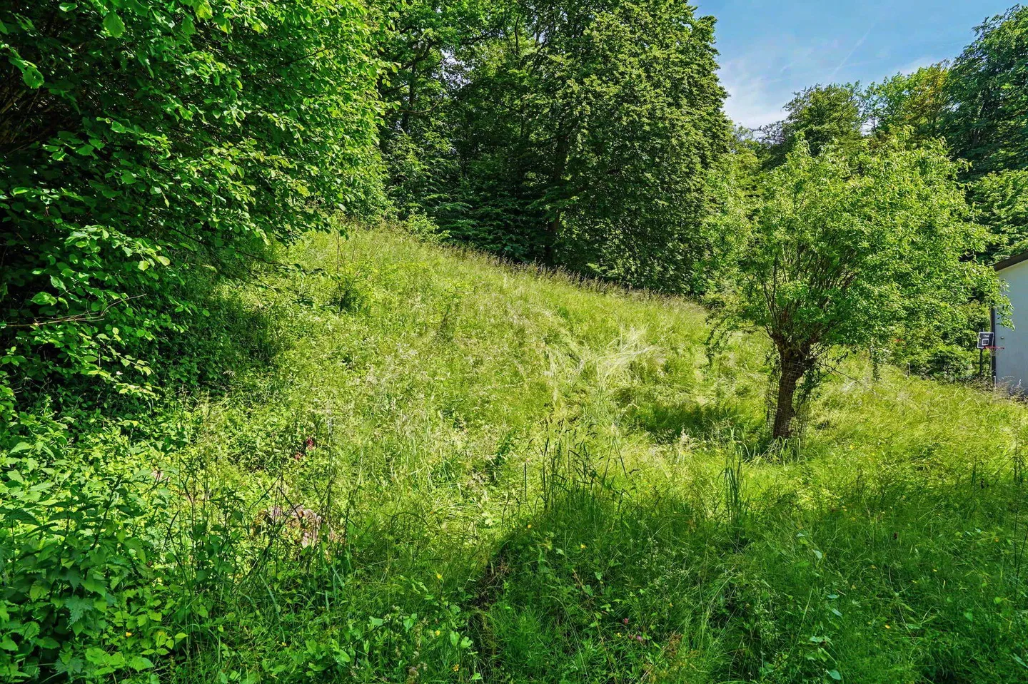 Appartamento con giardino 4,5 stanze a Oberwil - Foto 11 di 13